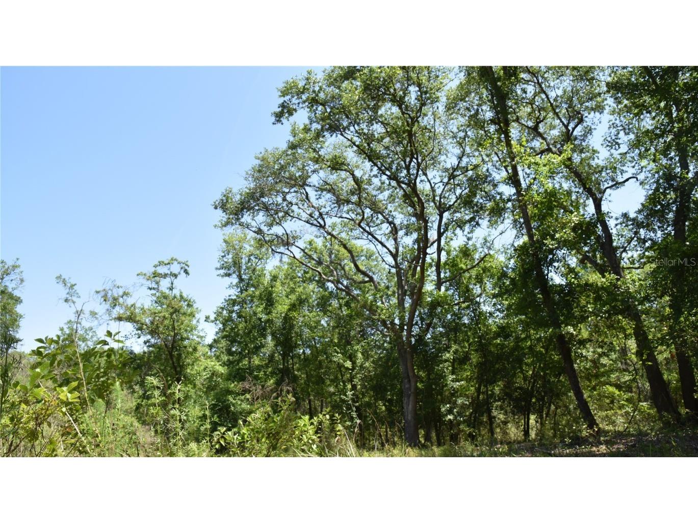 21312 NE 69th Place Melrose FL 32666 OM701974 image1