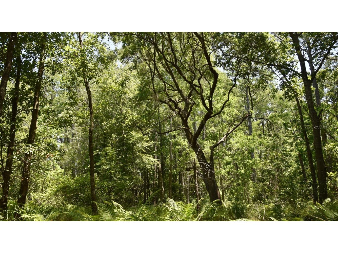 21312 NE 69th Place Melrose FL 32666 OM701974 image10