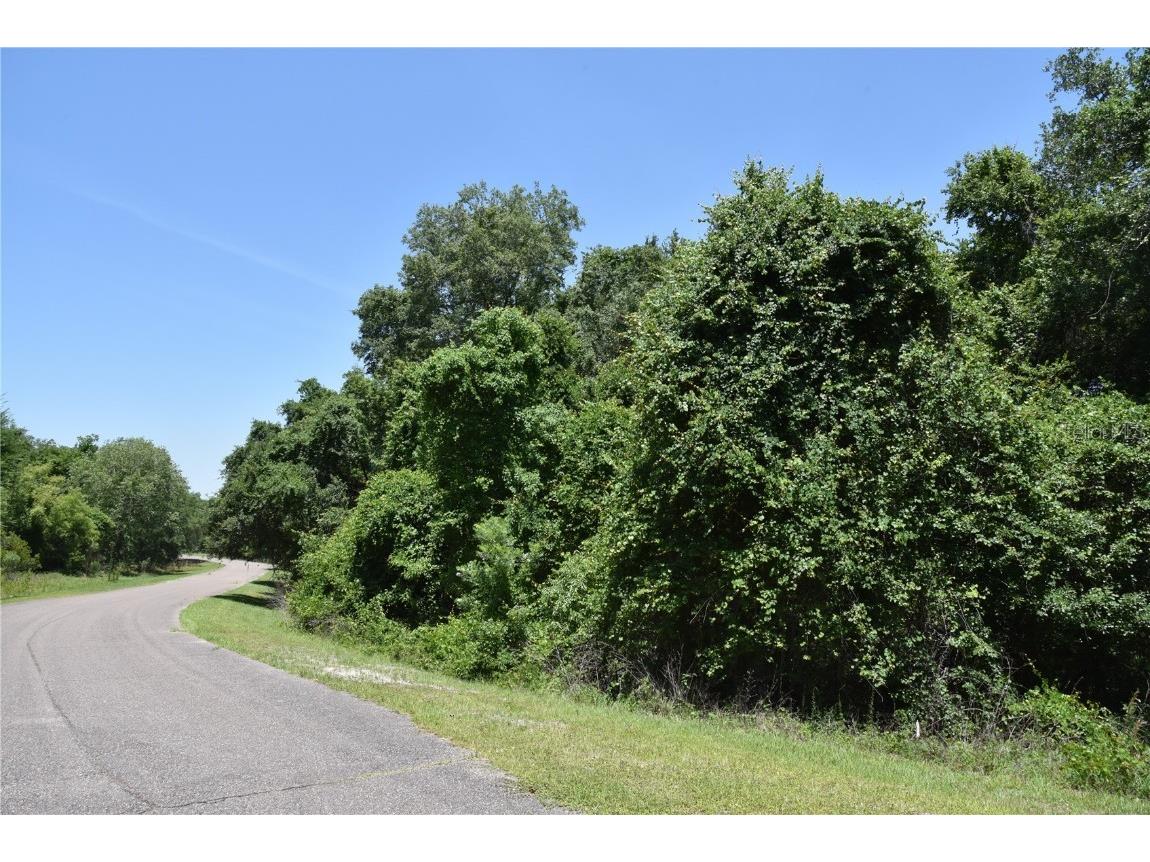 21312 NE 69th Place Melrose FL 32666 OM701974 image18