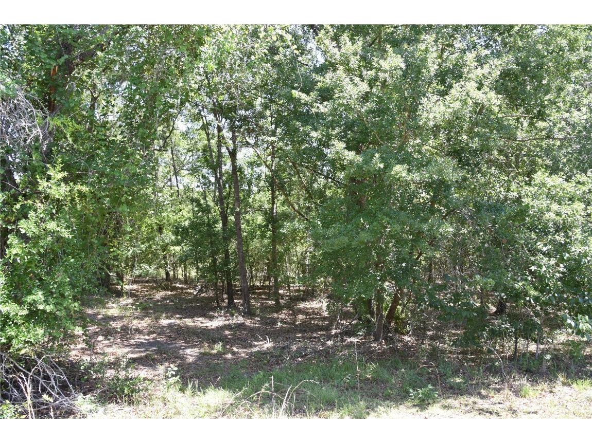 21312 NE 69th Place Melrose FL 32666 OM701974 image23