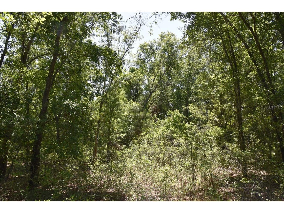 21312 NE 69th Place Melrose FL 32666 OM701974 image25