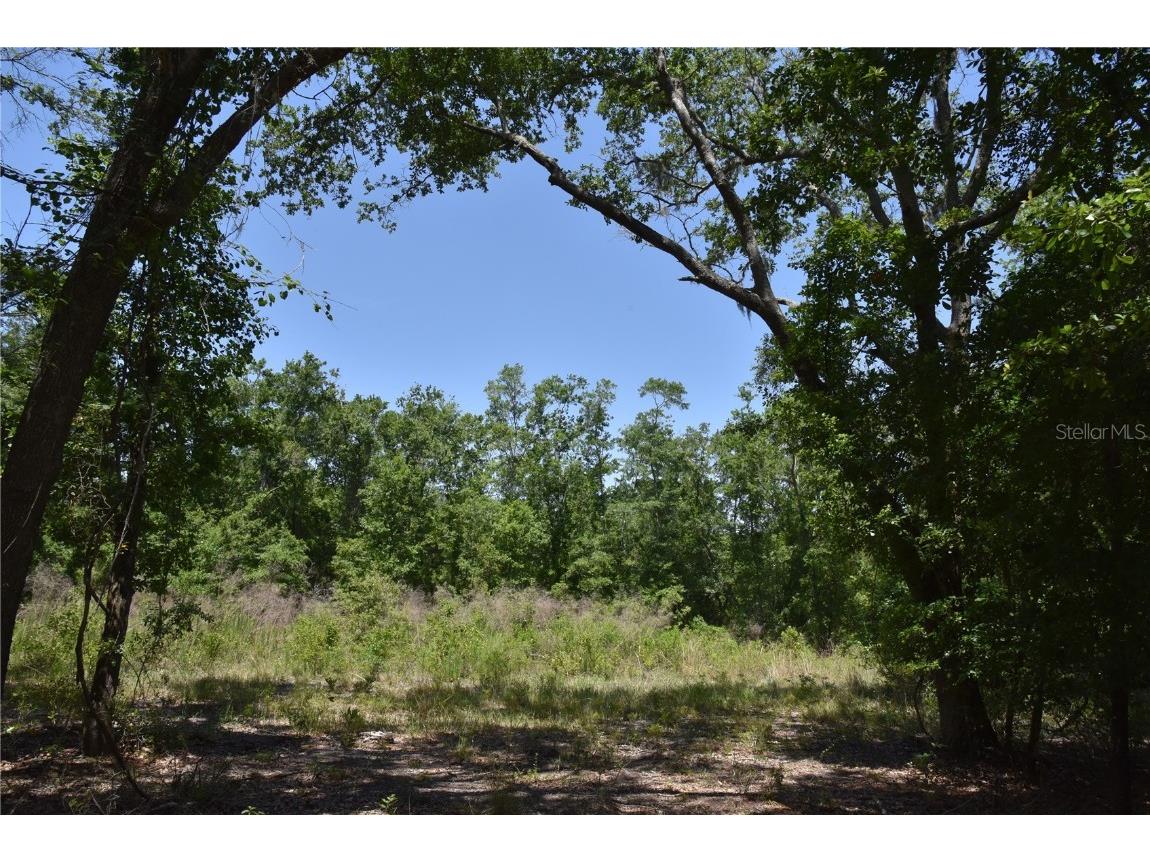 21312 NE 69th Place Melrose FL 32666 OM701974 image3