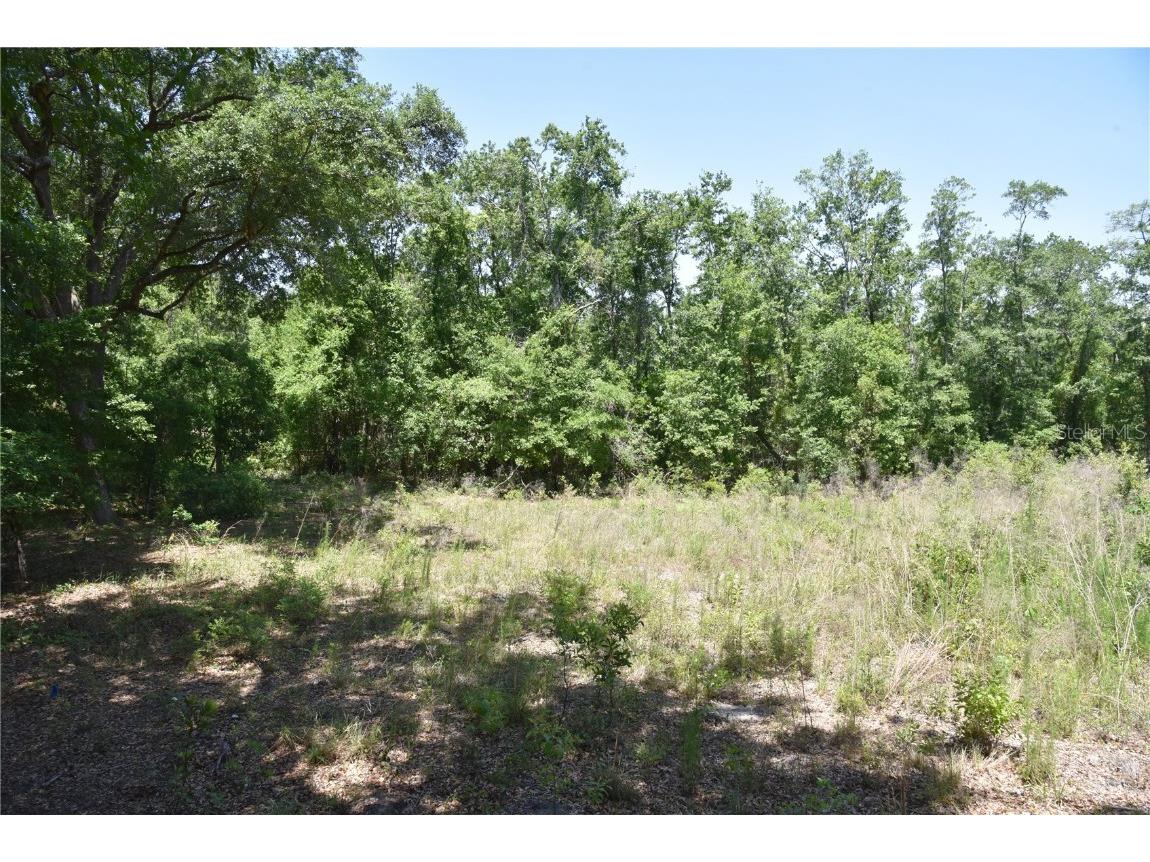 21312 NE 69th Place Melrose FL 32666 OM701974 image4