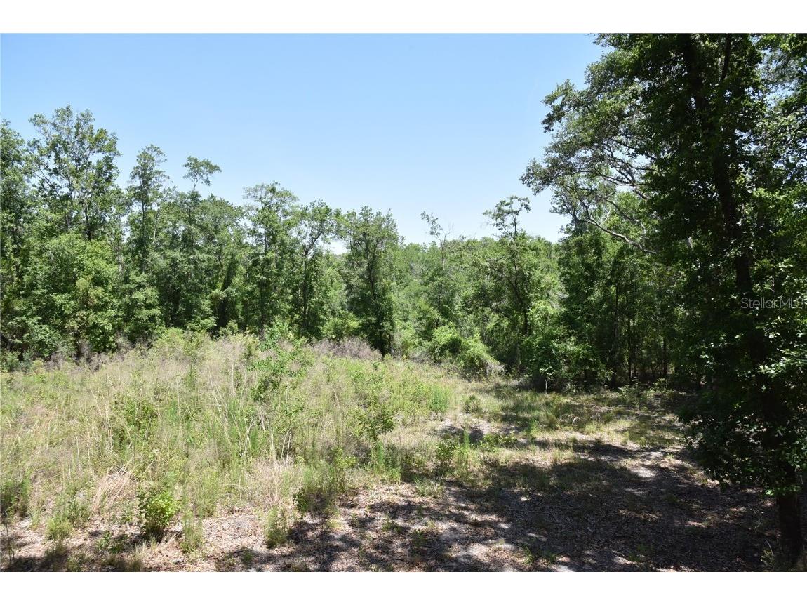 21312 NE 69th Place Melrose FL 32666 OM701974 image5