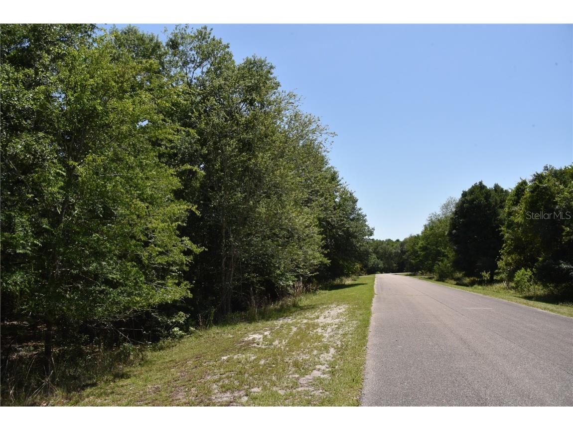 21312 NE 69th Place Melrose FL 32666 OM701974 image7