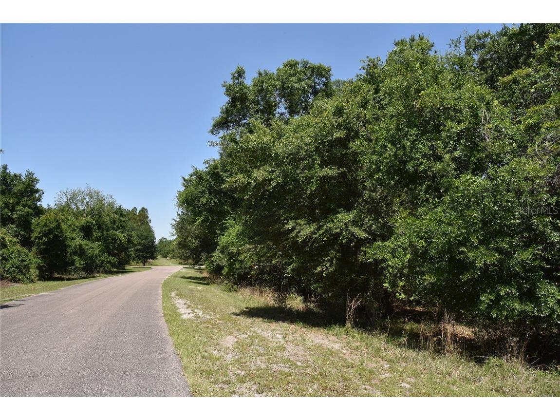 21312 NE 69th Place Melrose FL 32666 OM701974 image8