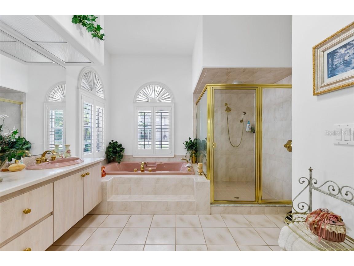 21312 Preservation Drive Land O Lakes FL 34638 W7863643 image24