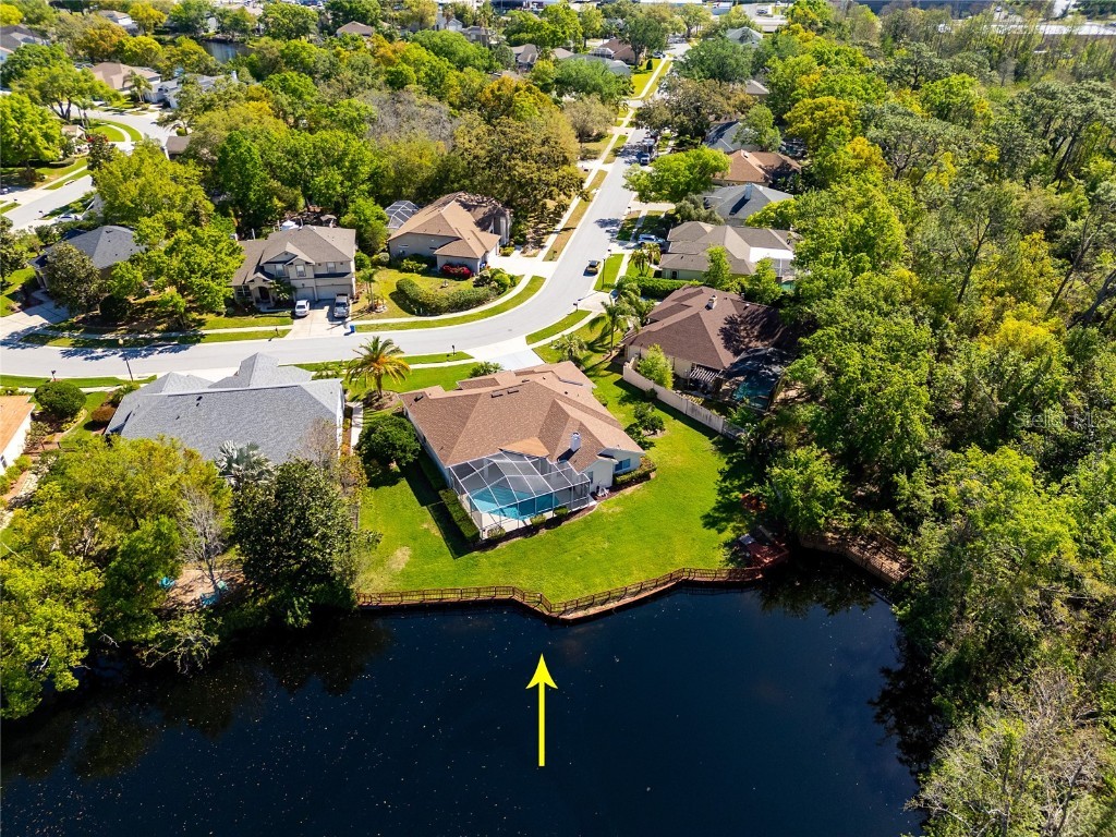 21312 Preservation Drive Land O Lakes FL 34638 W7863643 image4