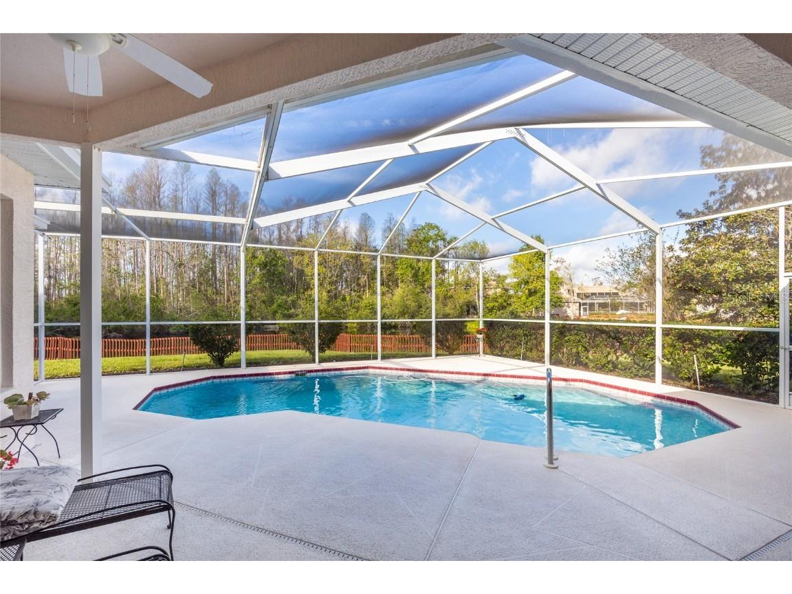 21312 Preservation Drive Land O Lakes FL 34638 W7863643 image41