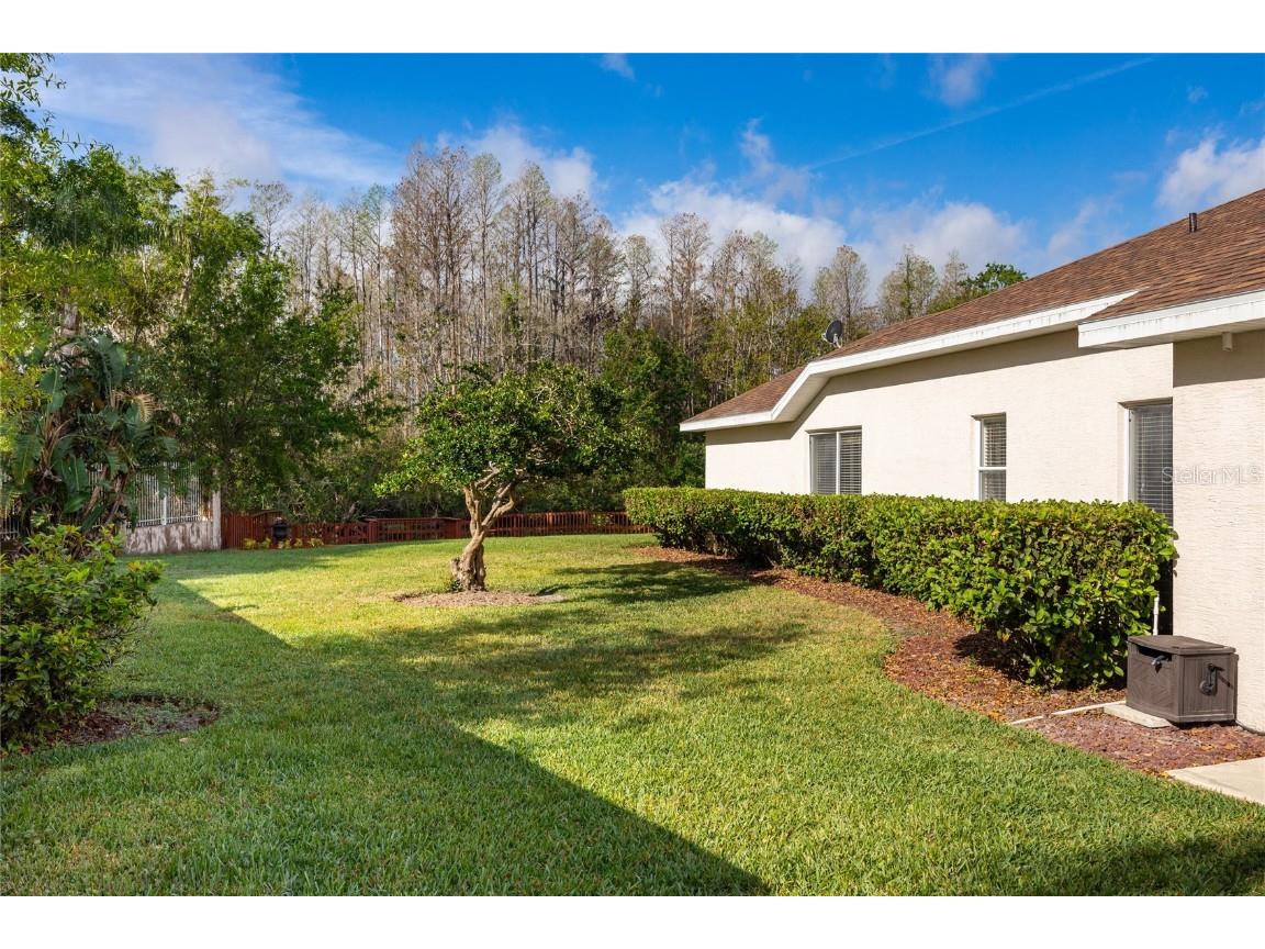 21312 Preservation Drive Land O Lakes FL 34638 W7863643 image43