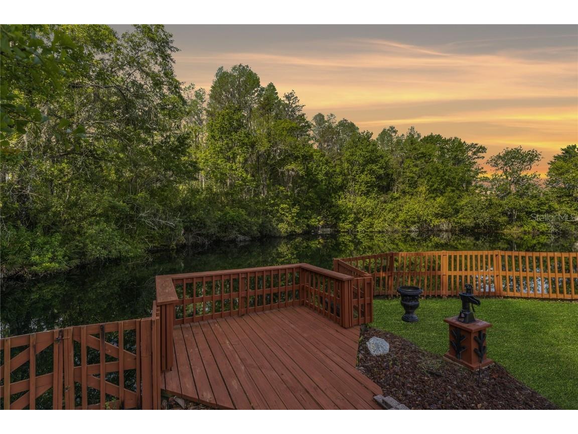 21312 Preservation Drive Land O Lakes FL 34638 W7863643 image46