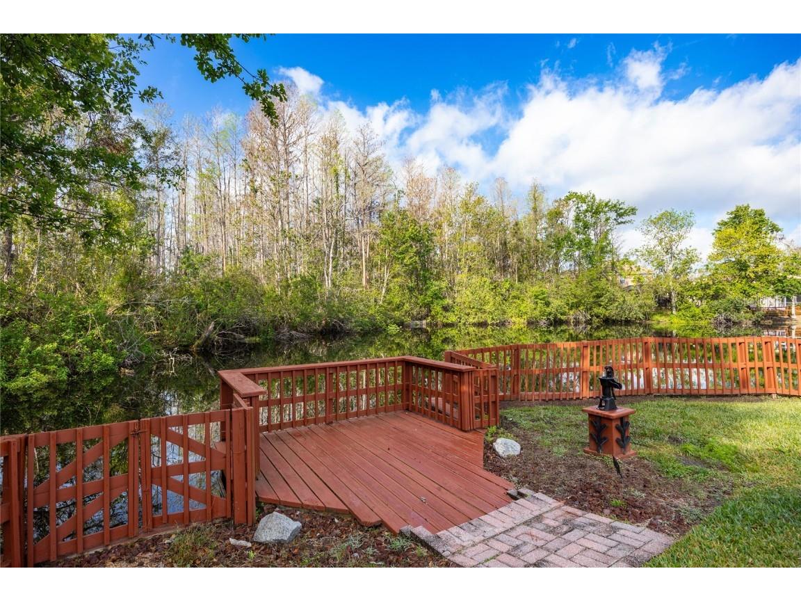 21312 Preservation Drive Land O Lakes FL 34638 W7863643 image48