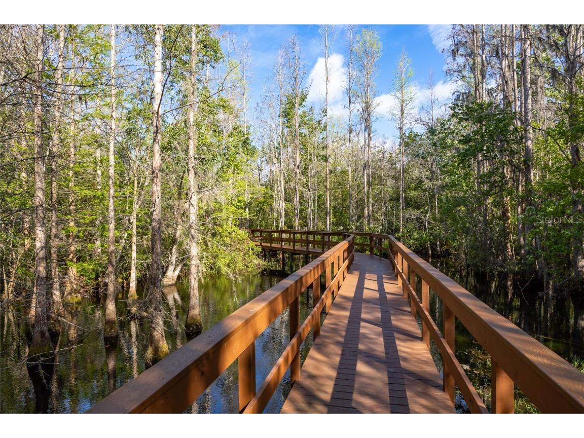 21312 Preservation Drive Land O Lakes FL 34638 W7863643 image50