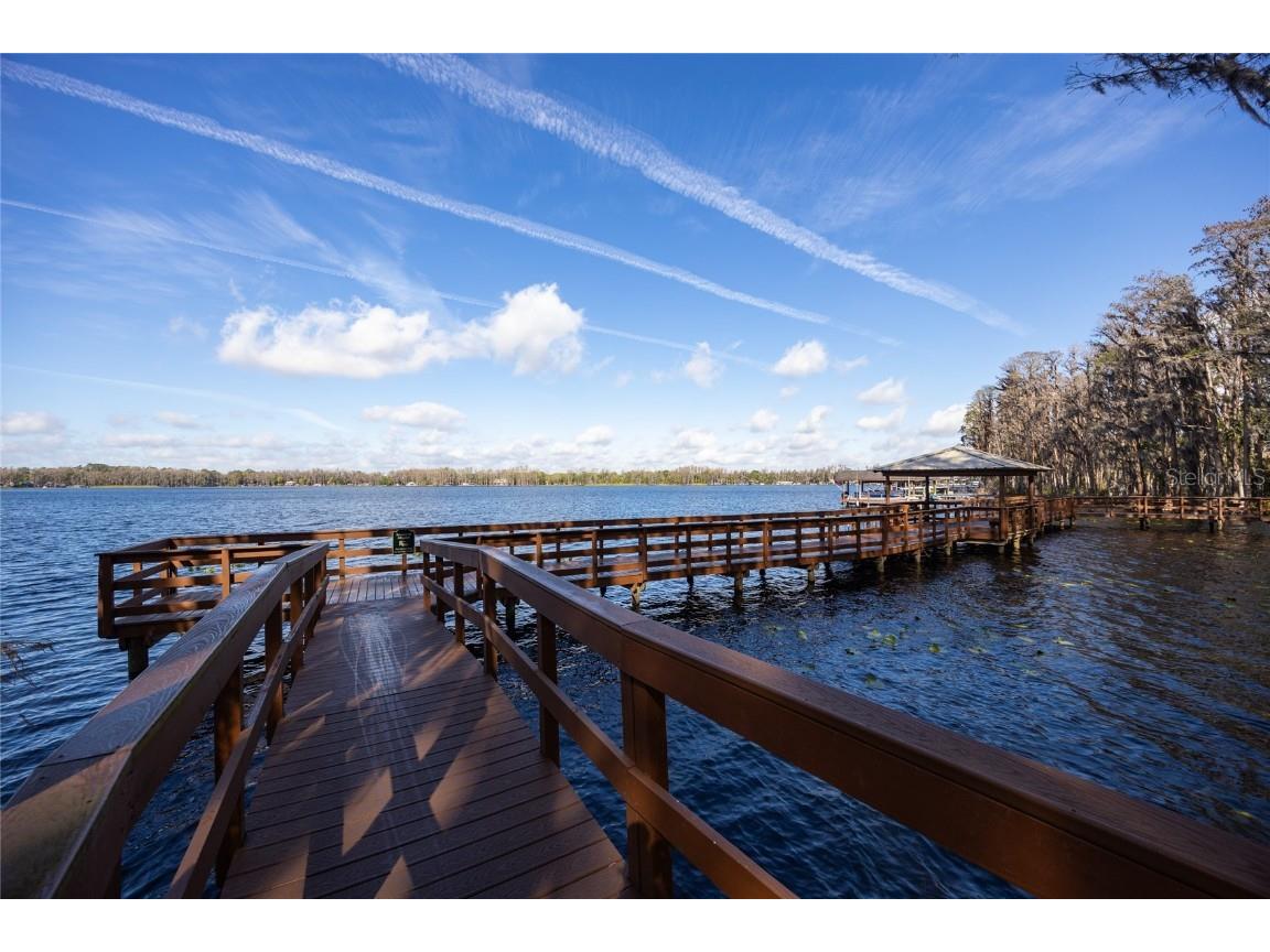 21312 Preservation Drive Land O Lakes FL 34638 W7863643 image51