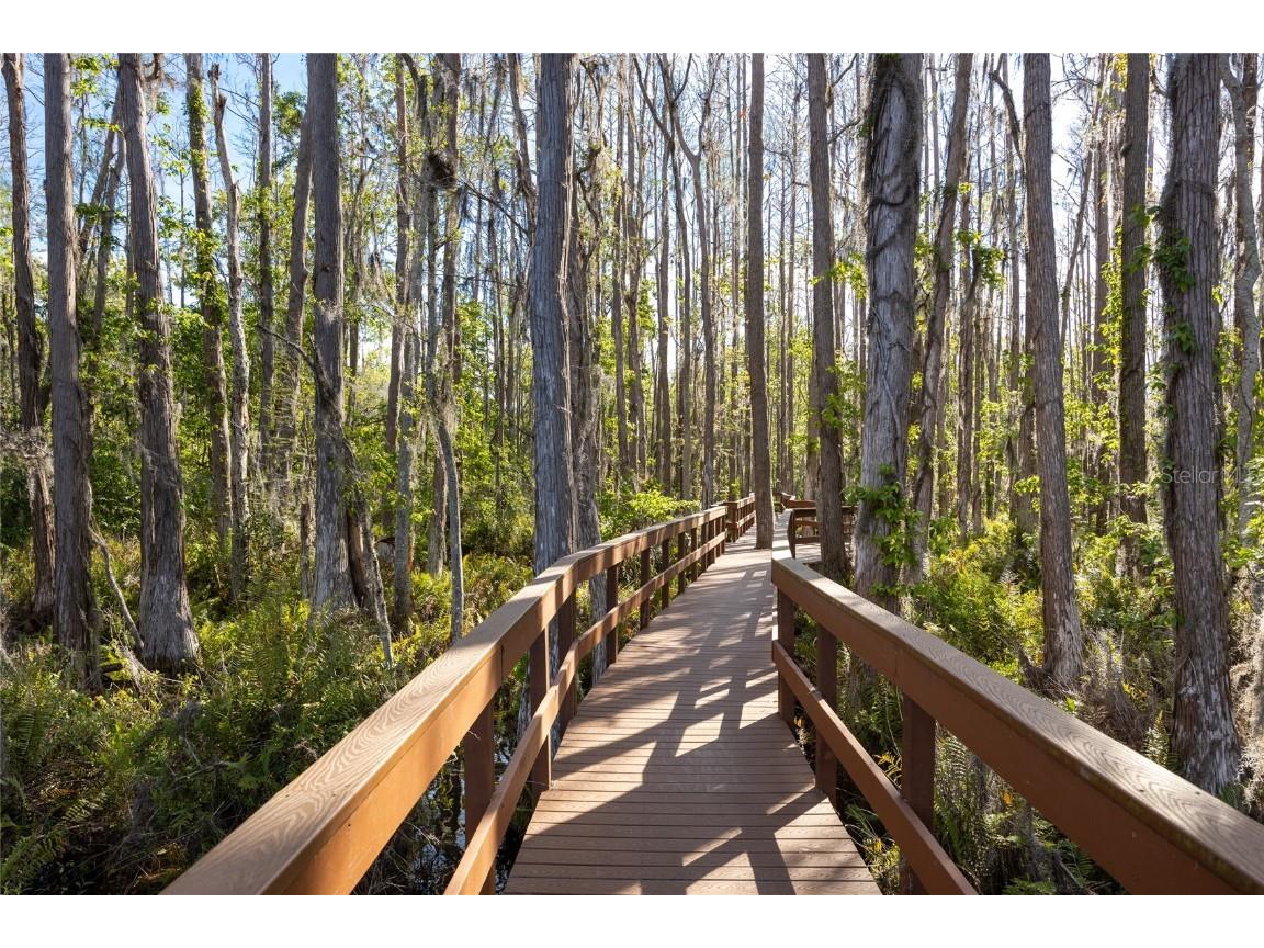 21312 Preservation Drive Land O Lakes FL 34638 W7863643 image52