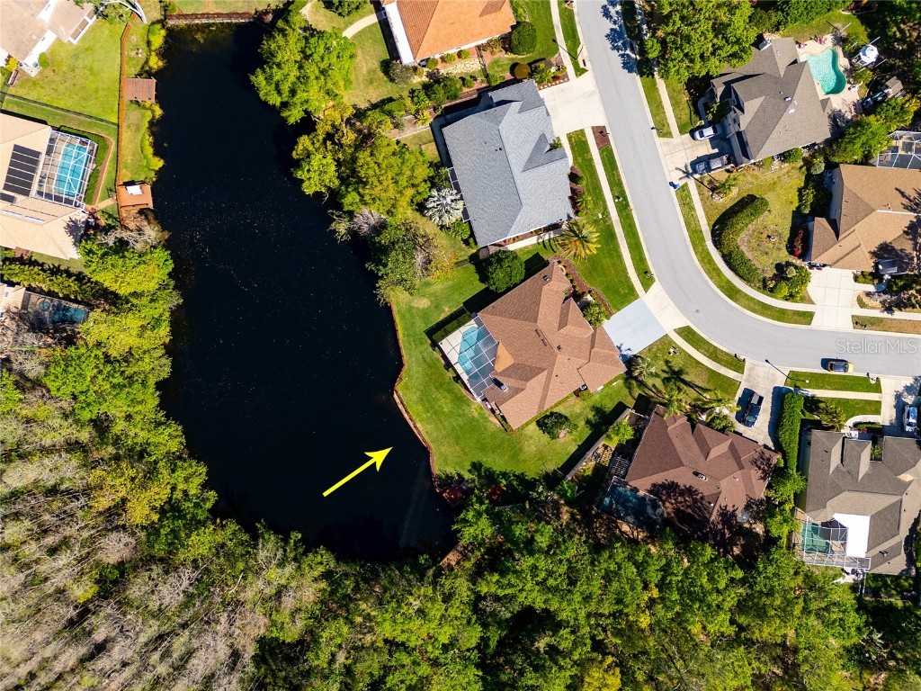 21312 Preservation Drive Land O Lakes FL 34638 W7863643 image54