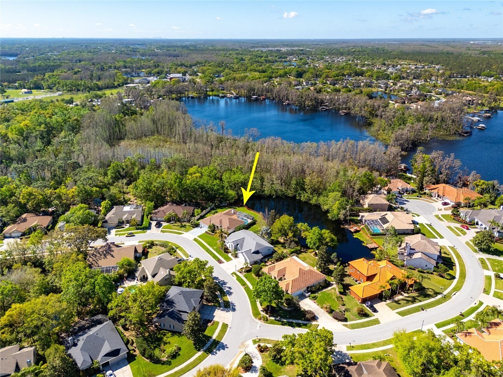 21312 Preservation Drive Land O Lakes FL 34638 W7863643 image55