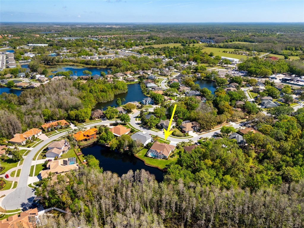 21312 Preservation Drive Land O Lakes FL 34638 W7863643 image56