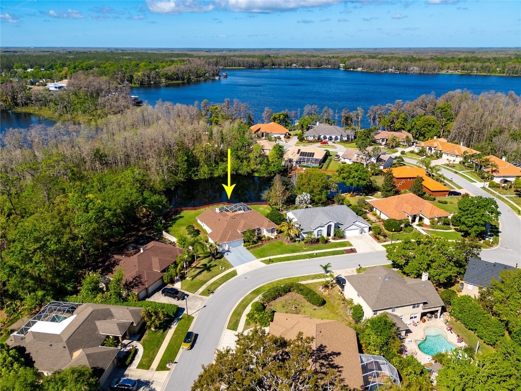 21312 Preservation Drive Land O Lakes FL 34638 W7863643 image57