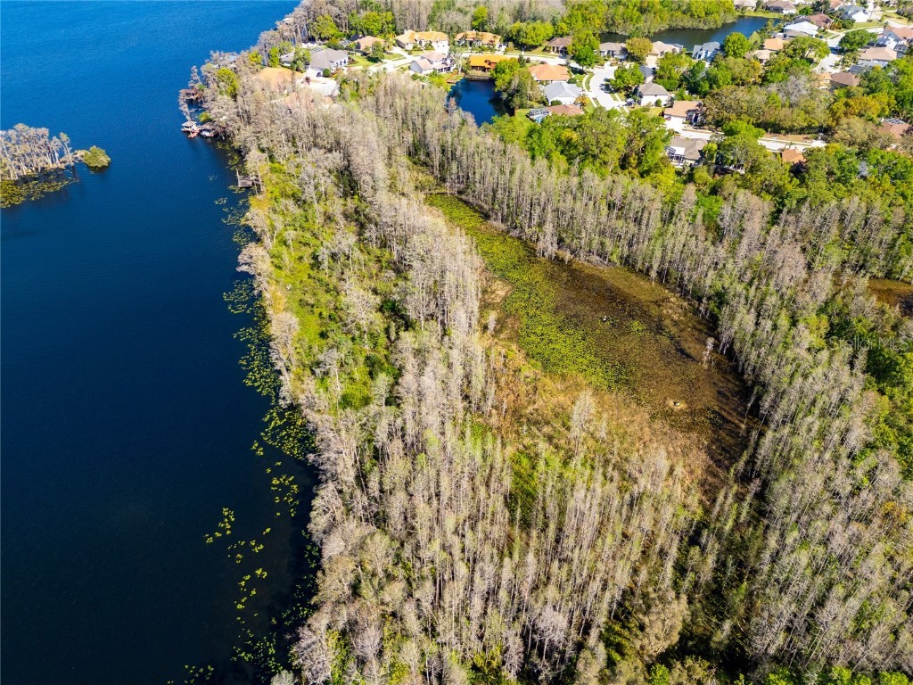 21312 Preservation Drive Land O Lakes FL 34638 W7863643 image59
