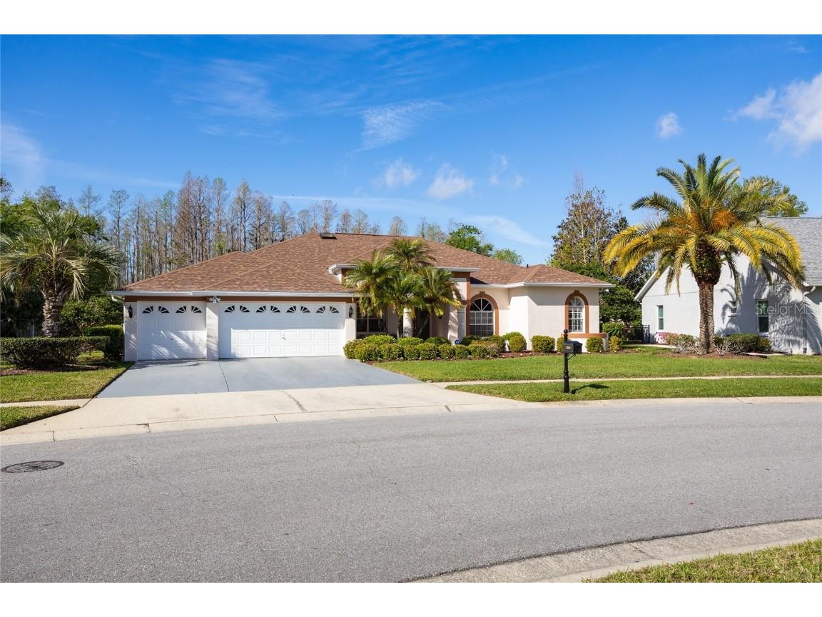 21312 Preservation Drive Land O Lakes FL 34638 W7863643 image60