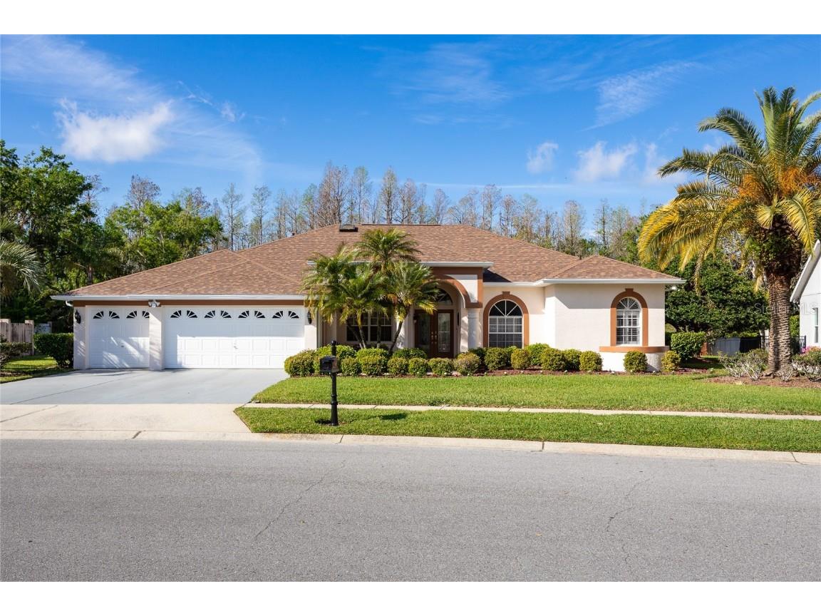 21312 Preservation Drive Land O Lakes FL 34638 W7863643 image7