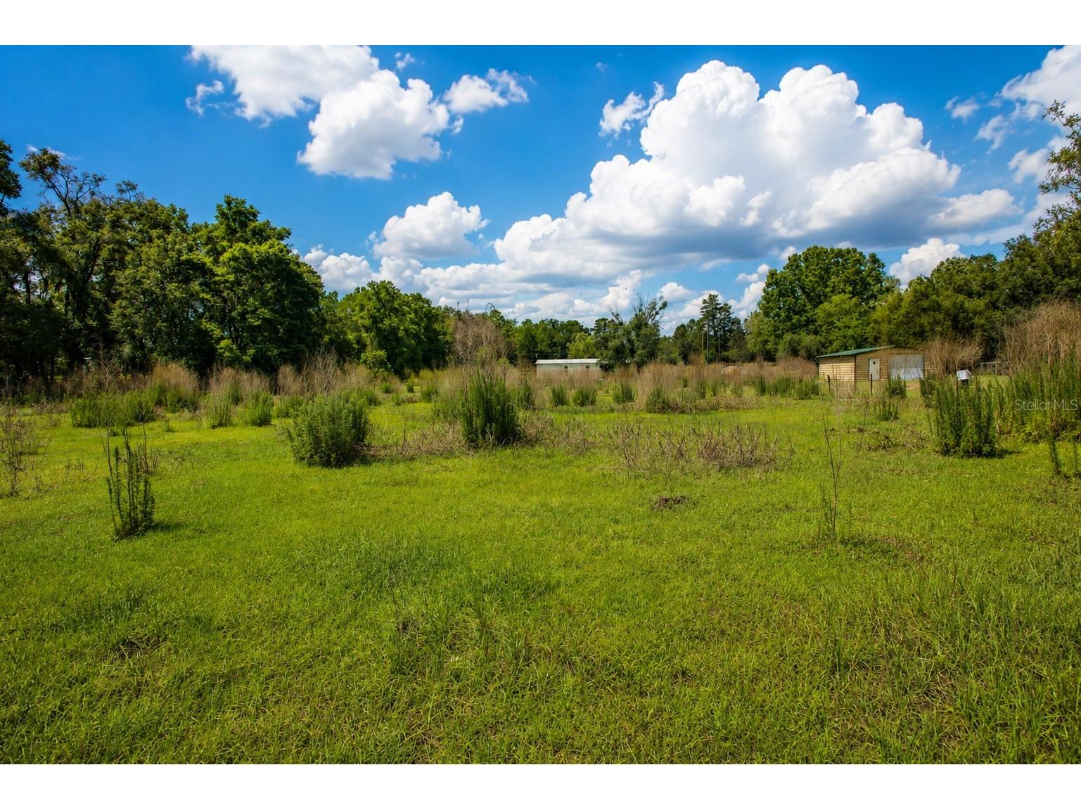 21313 NW 56th Place Newberry FL 32669 GC540531 image30