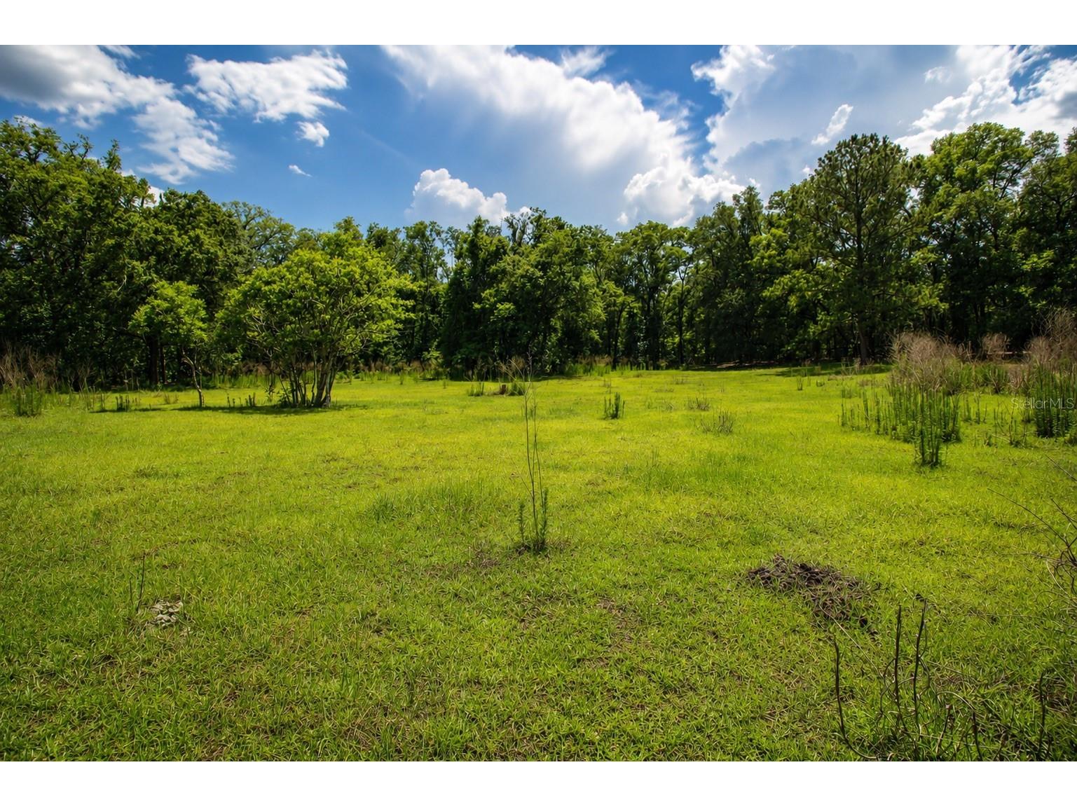 21313 NW 56th Place Newberry FL 32669 GC540531 image5
