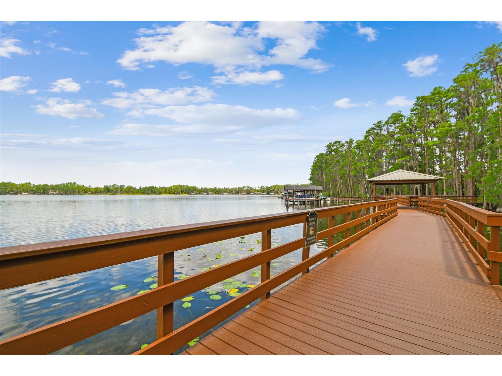 21314 Marsh Hawk Drive Land O Lakes FL 34638 W7884103 image3