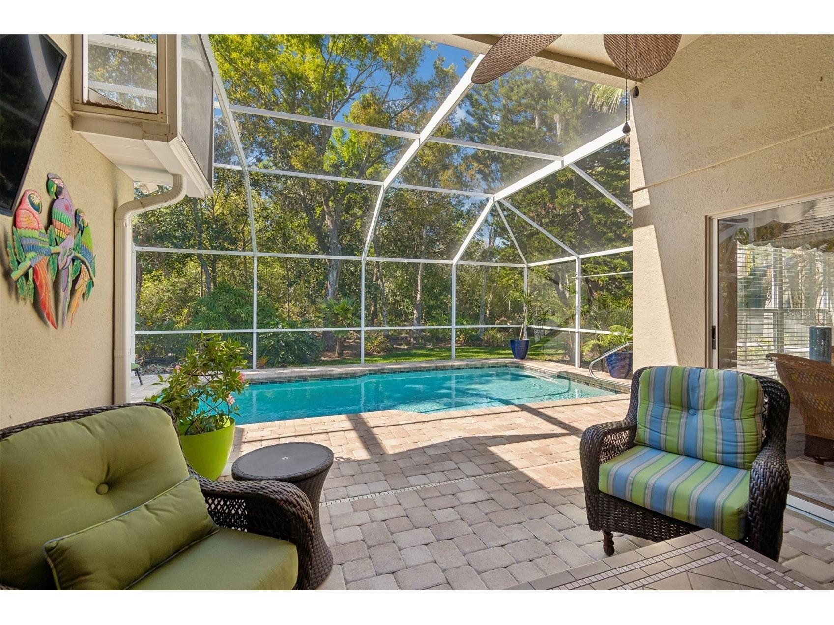 21314 Marsh Hawk Drive Land O Lakes FL 34638 W7884103 image45
