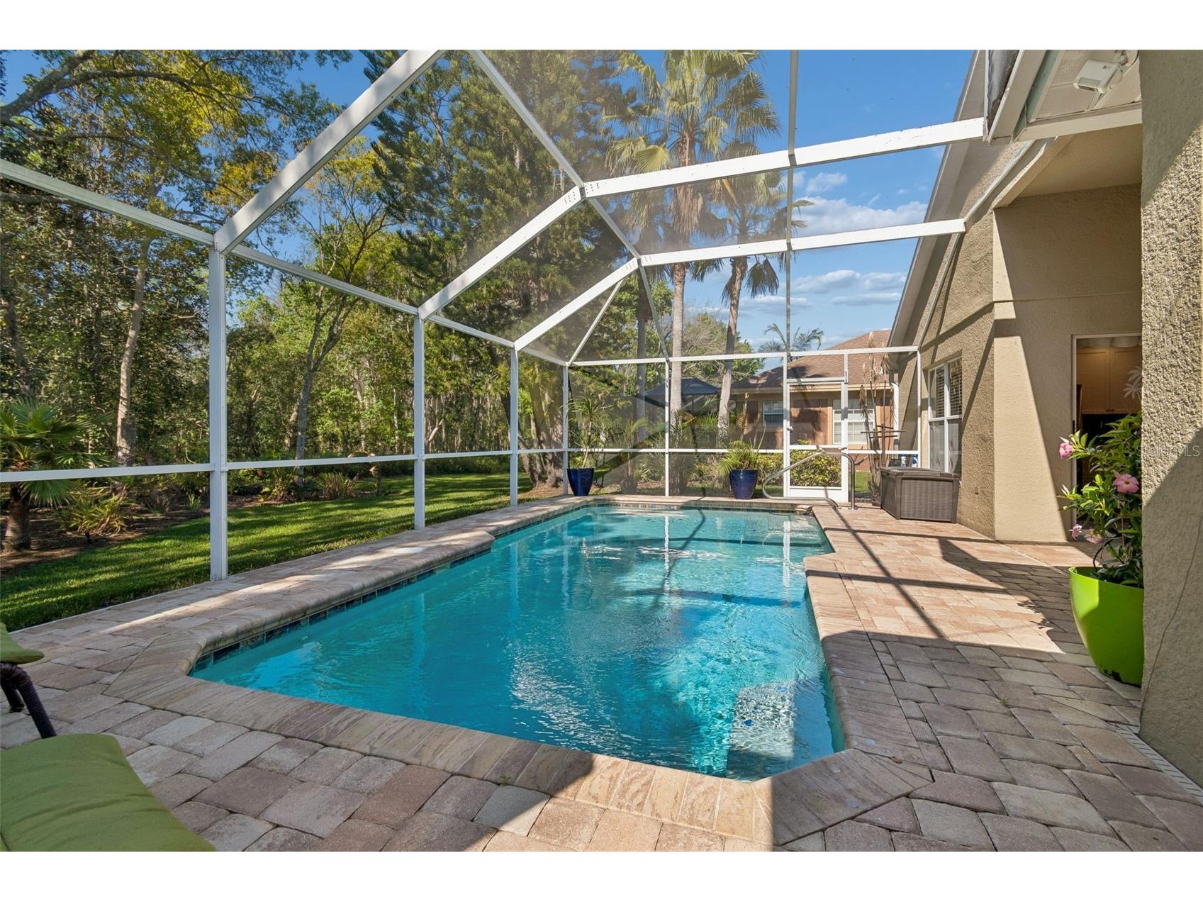21314 Marsh Hawk Drive Land O Lakes FL 34638 W7884103 image46