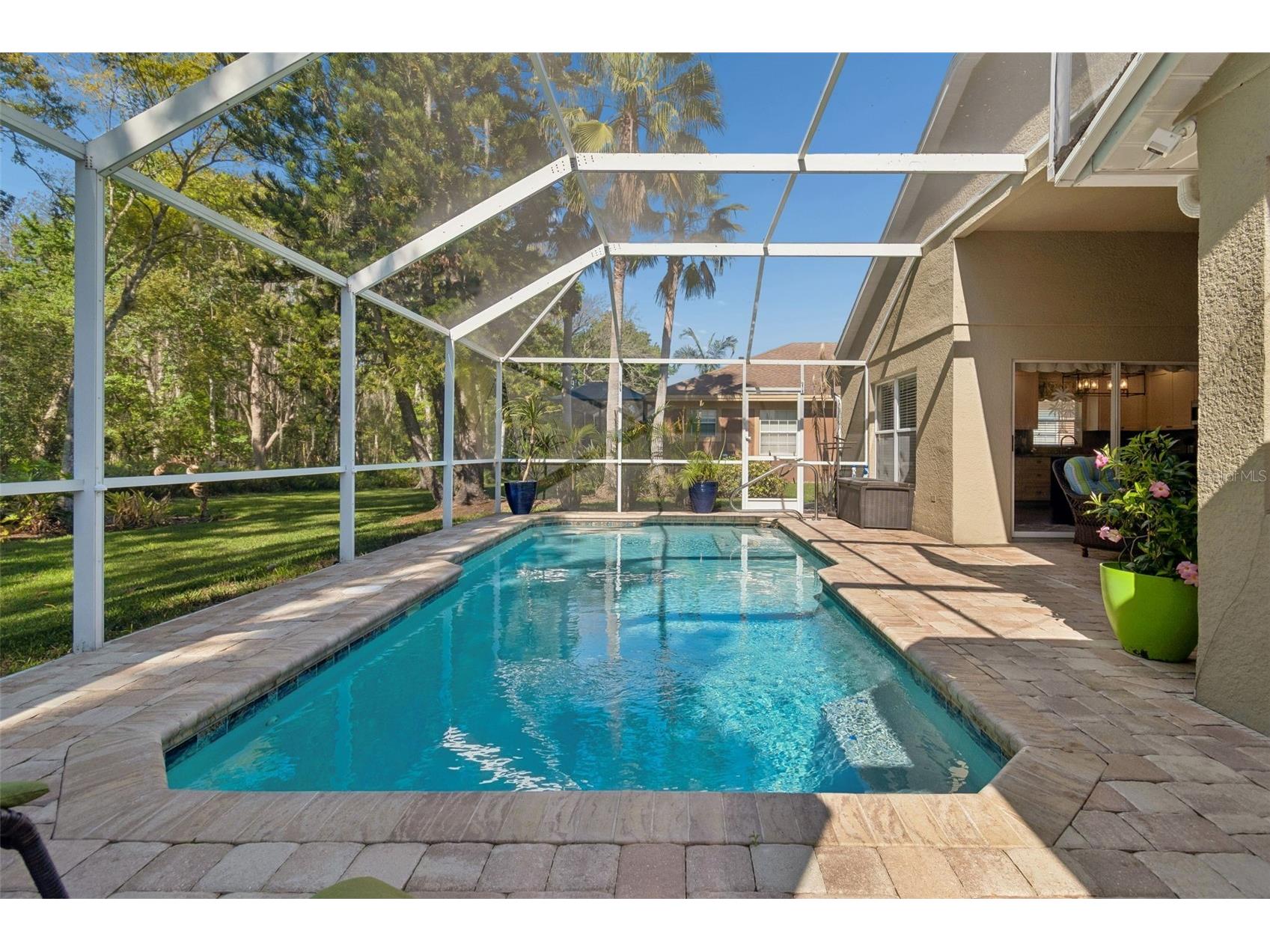 21314 Marsh Hawk Drive Land O Lakes FL 34638 W7884103 image47