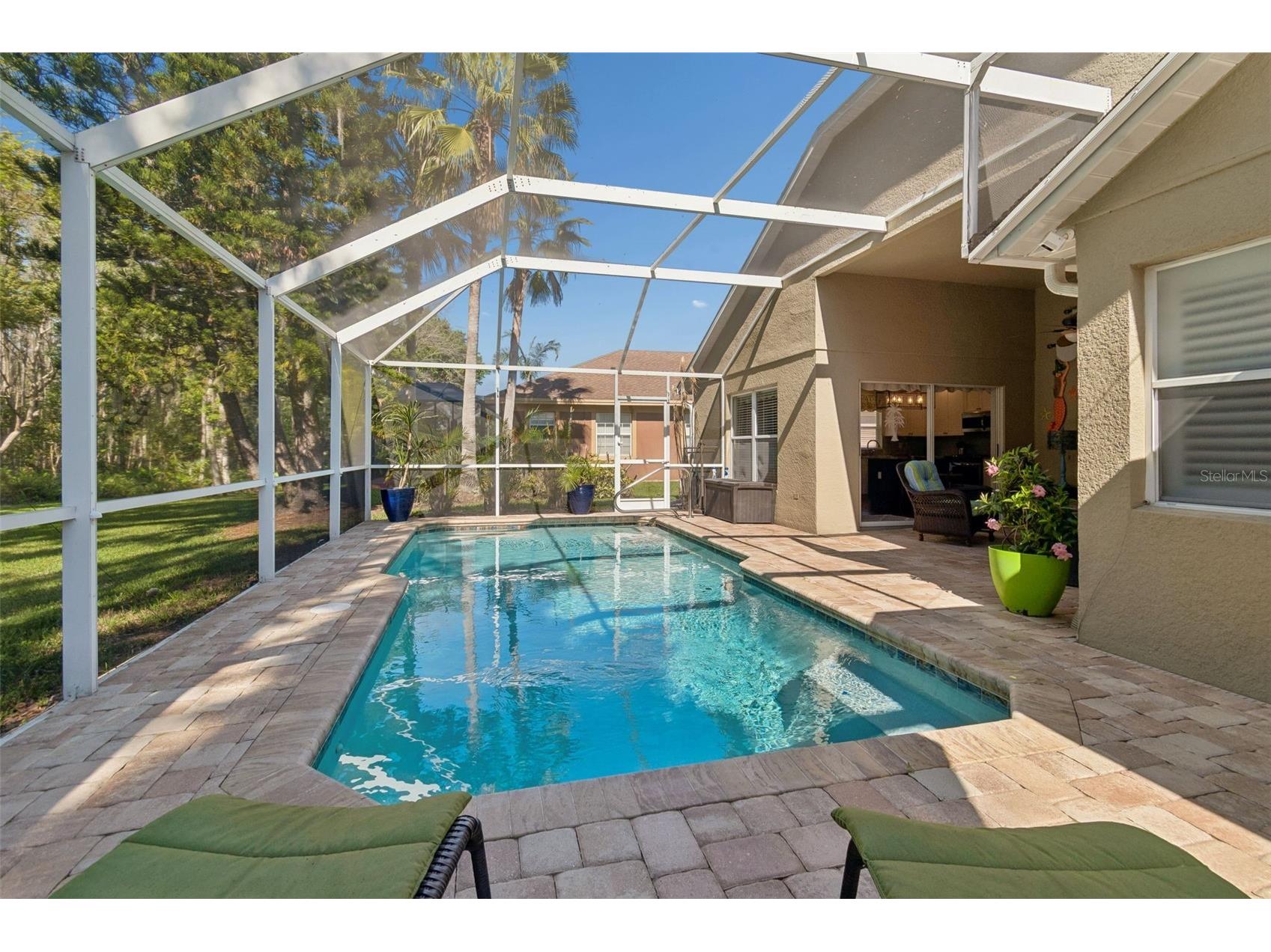 21314 Marsh Hawk Drive Land O Lakes FL 34638 W7884103 image48