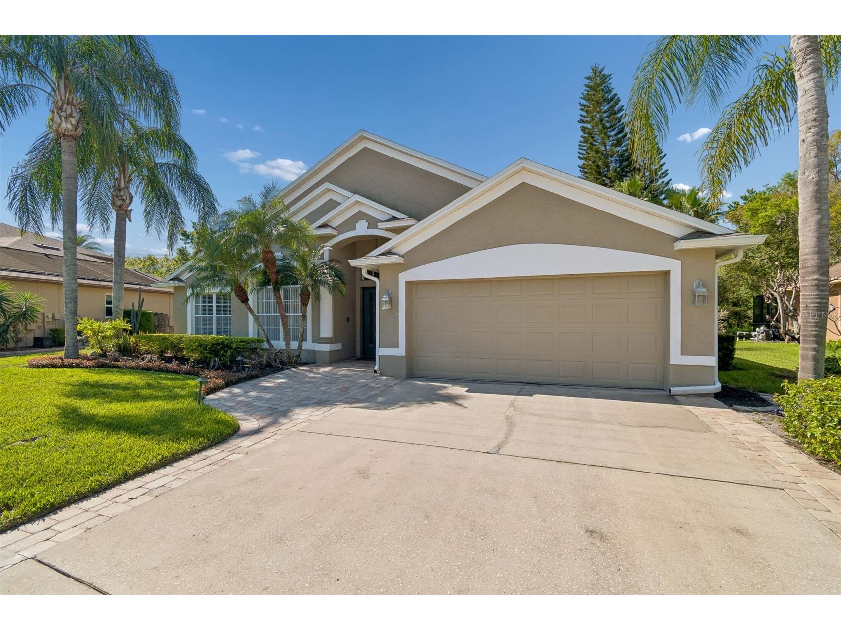 21314 Marsh Hawk Drive Land O Lakes FL 34638 W7884103 image5