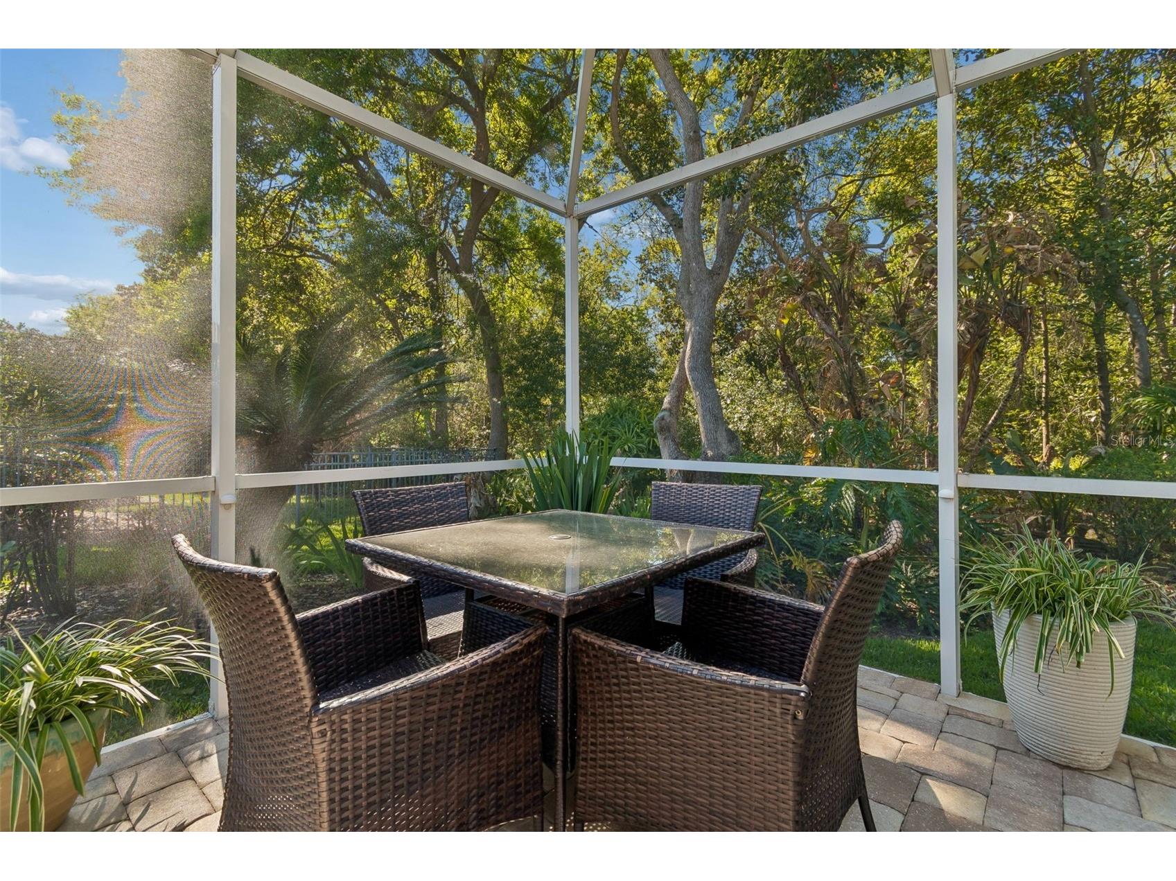 21314 Marsh Hawk Drive Land O Lakes FL 34638 W7884103 image51