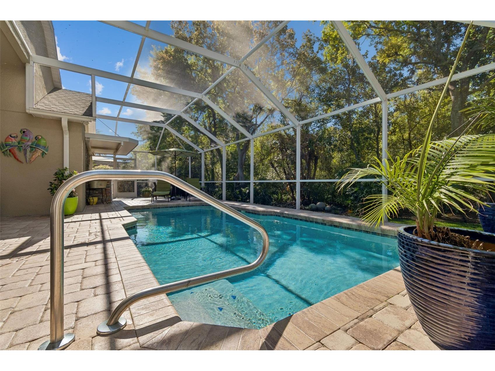 21314 Marsh Hawk Drive Land O Lakes FL 34638 W7884103 image52
