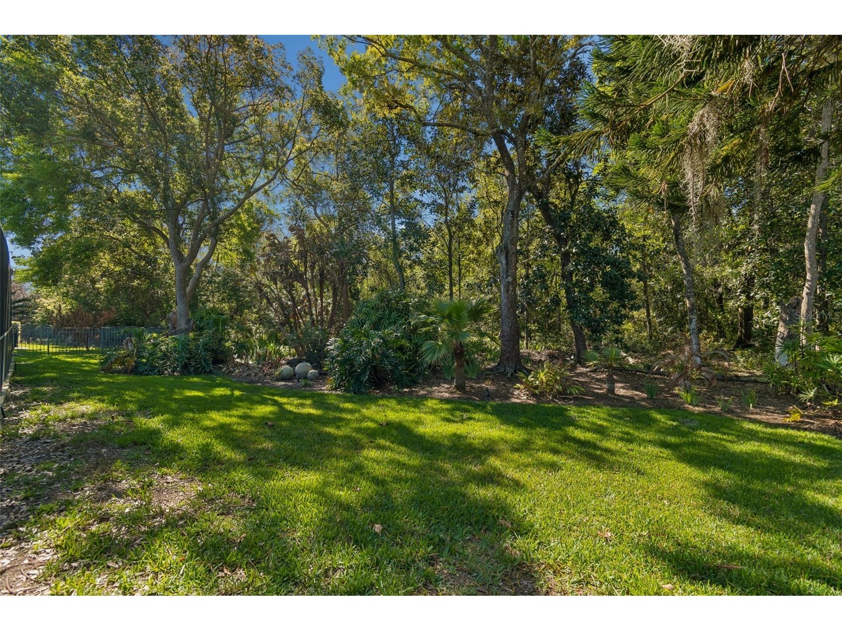 21314 Marsh Hawk Drive Land O Lakes FL 34638 W7884103 image53