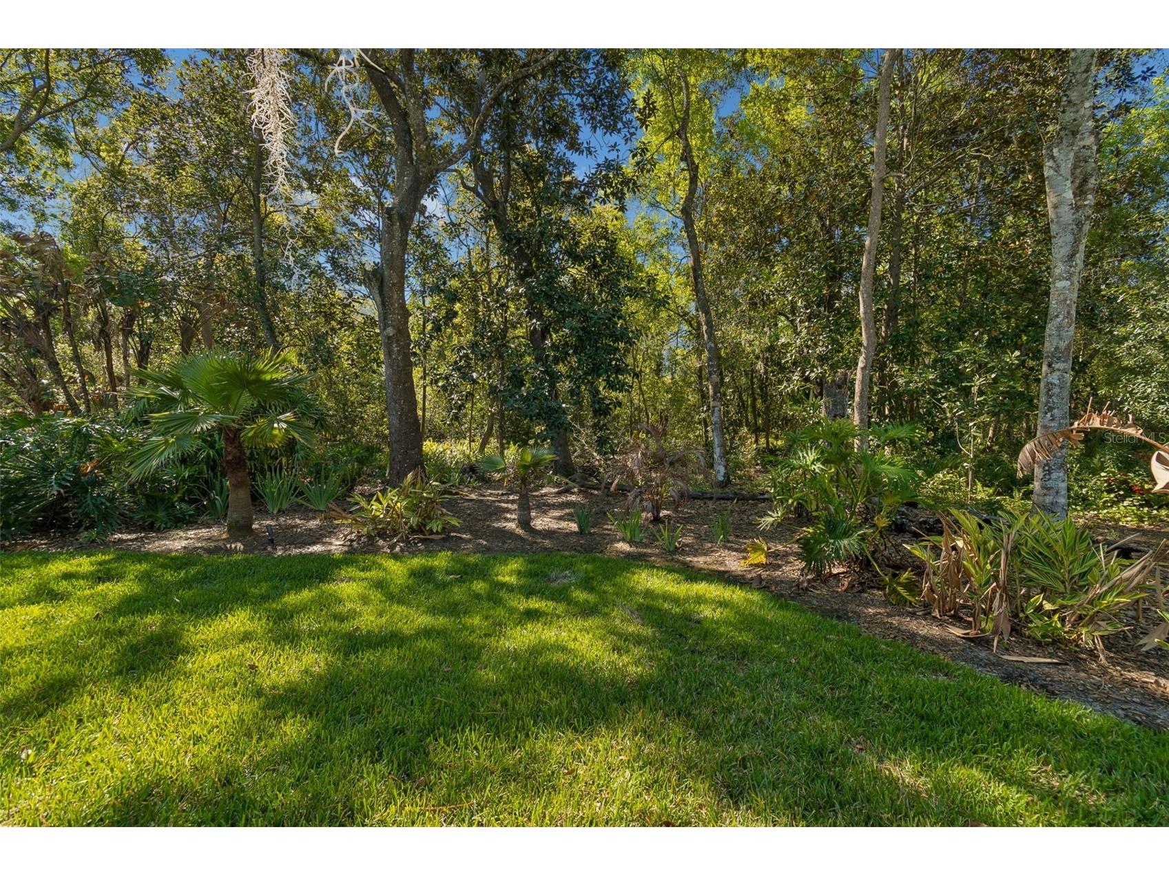 21314 Marsh Hawk Drive Land O Lakes FL 34638 W7884103 image55