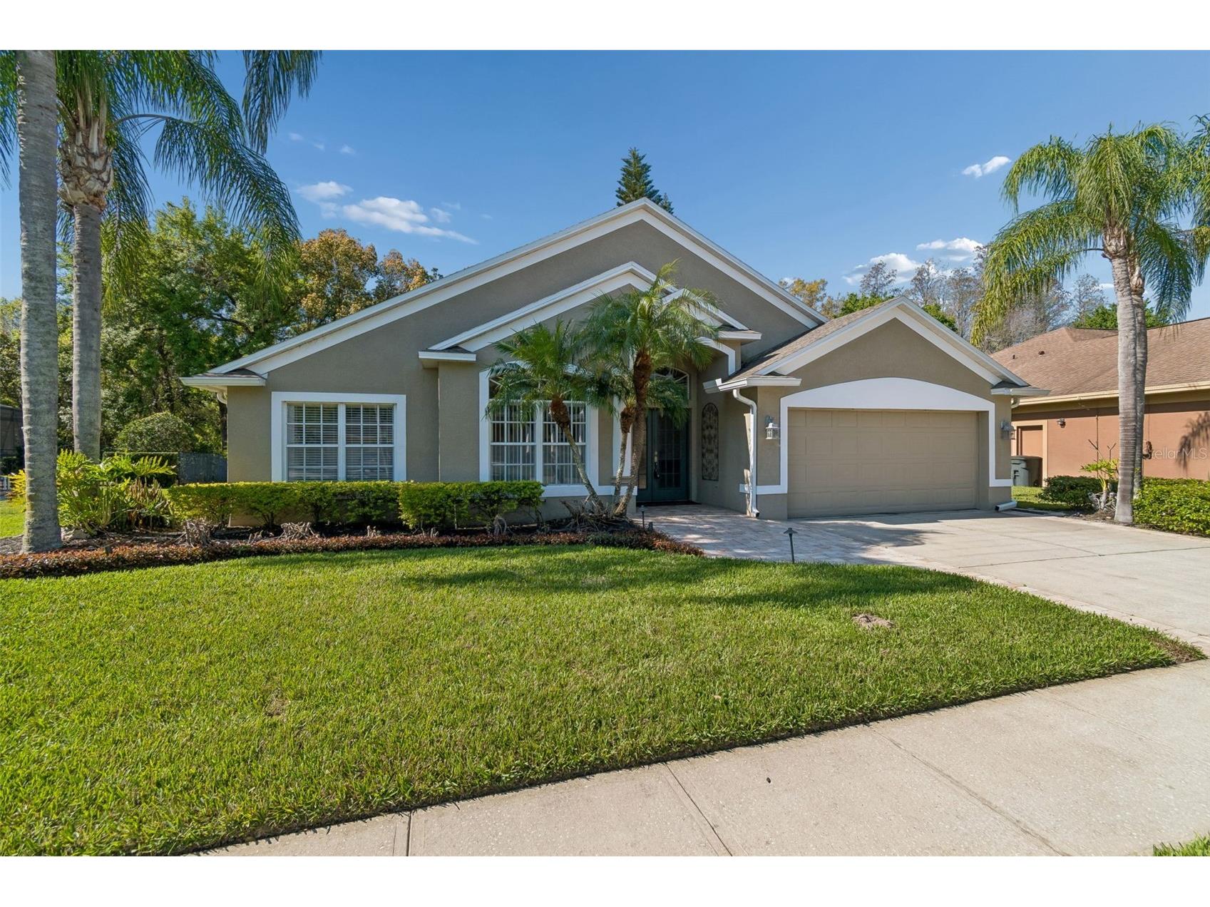 21314 Marsh Hawk Drive Land O Lakes FL 34638 W7884103 image6