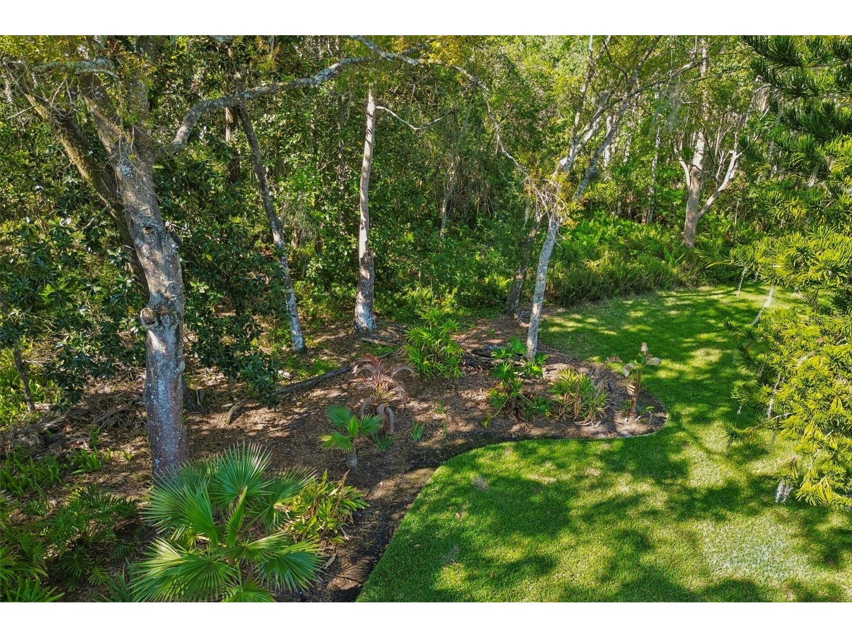 21314 Marsh Hawk Drive Land O Lakes FL 34638 W7884103 image67