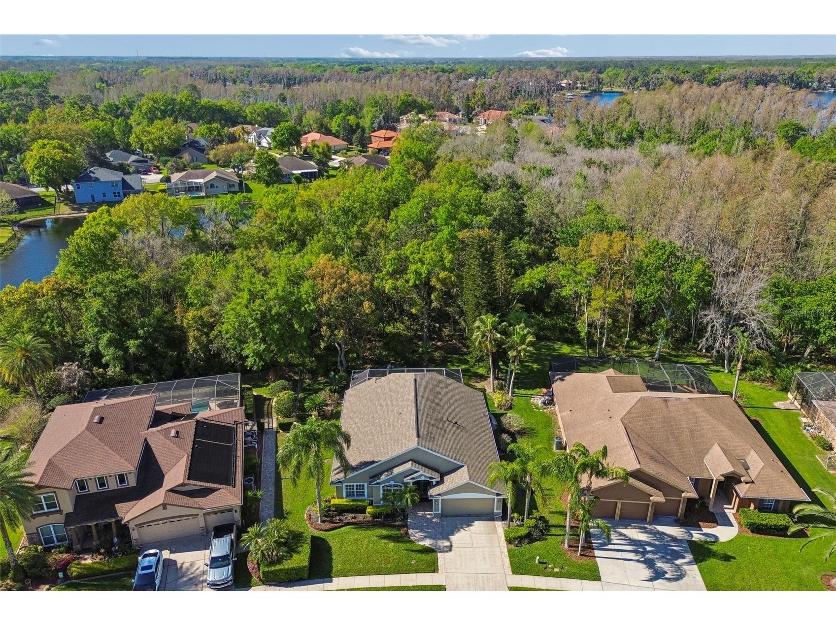 21314 Marsh Hawk Drive Land O Lakes FL 34638 W7884103 image70
