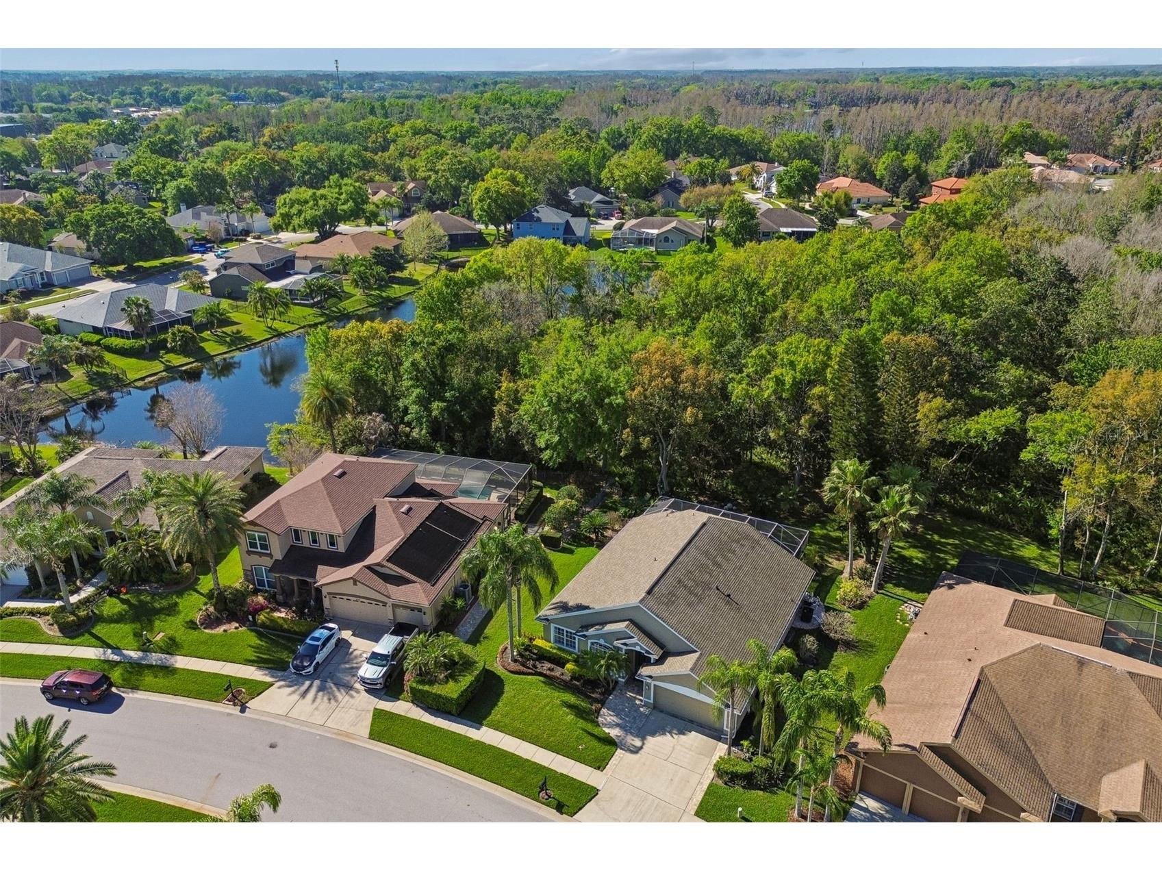 21314 Marsh Hawk Drive Land O Lakes FL 34638 W7884103 image71