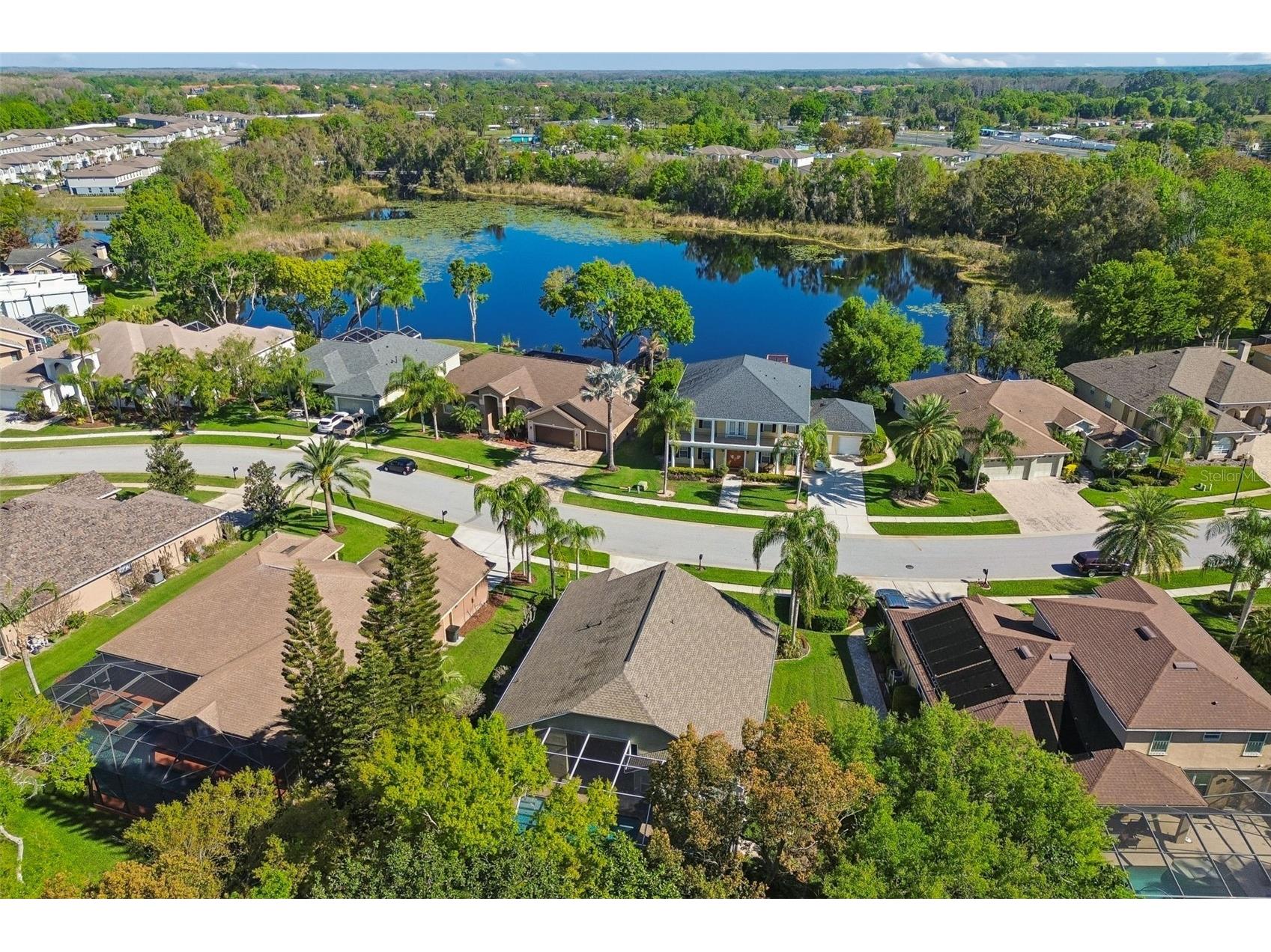 21314 Marsh Hawk Drive Land O Lakes FL 34638 W7884103 image72