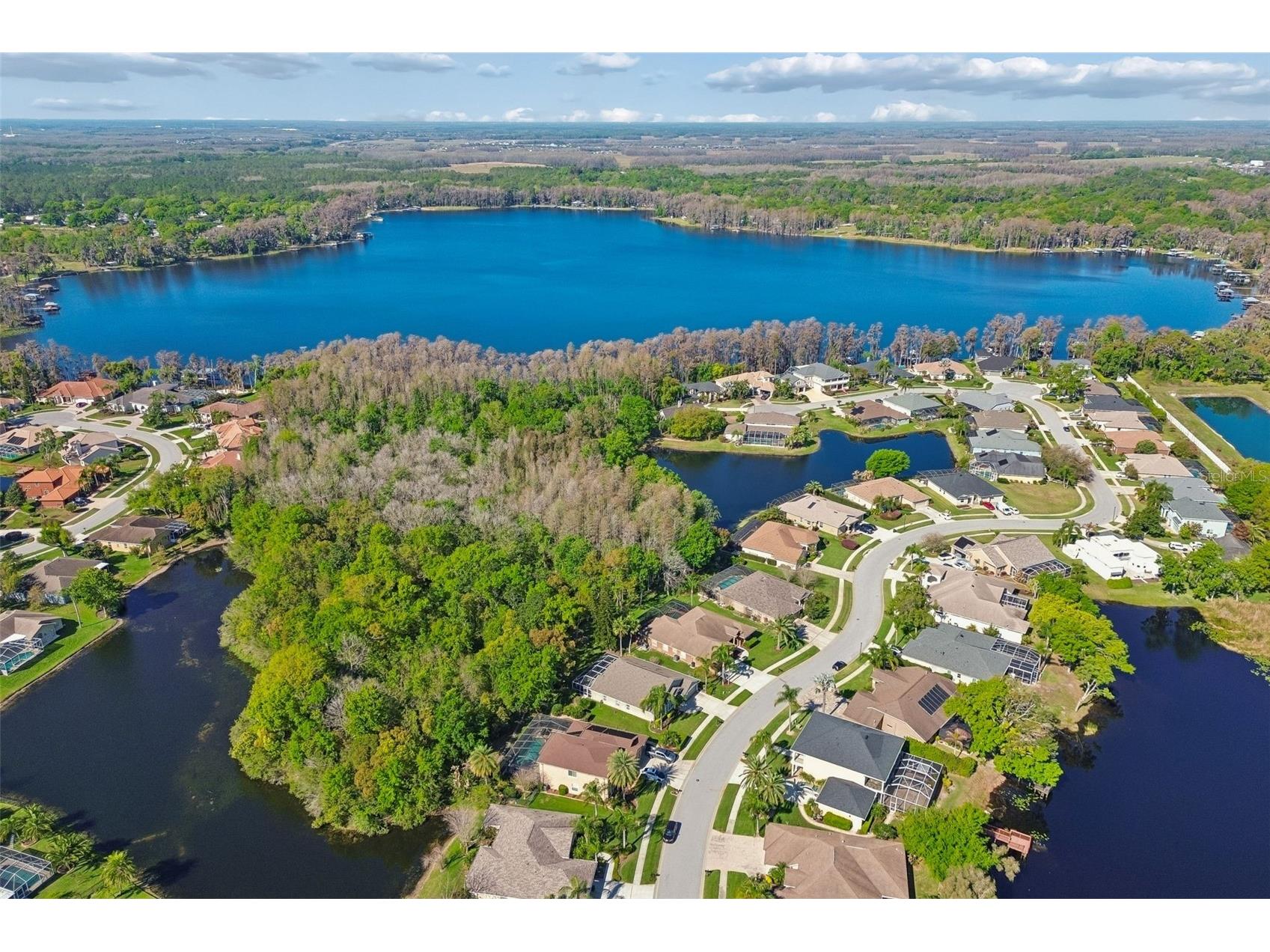 21314 Marsh Hawk Drive Land O Lakes FL 34638 W7884103 image73