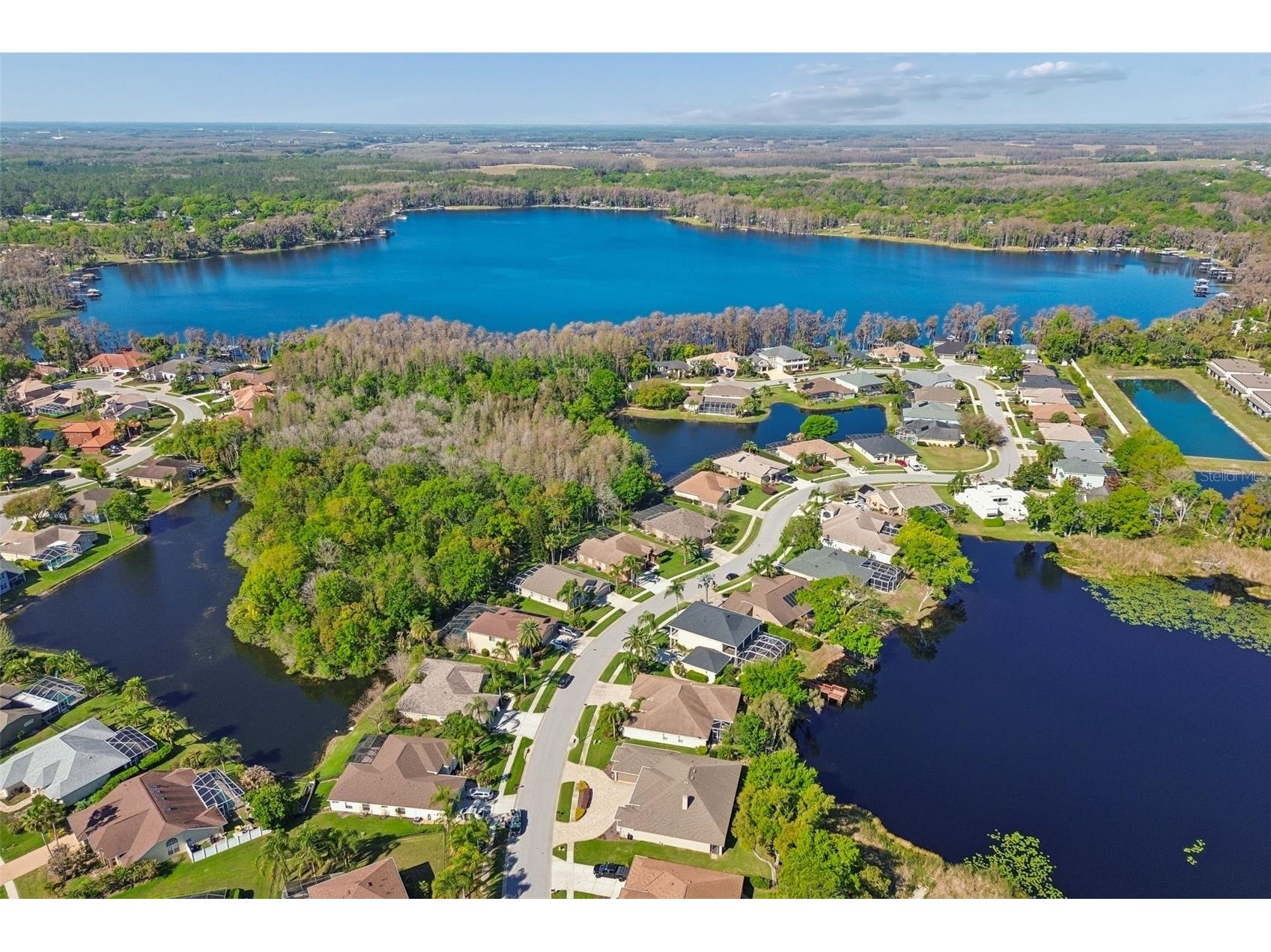 21314 Marsh Hawk Drive Land O Lakes FL 34638 W7884103 image74