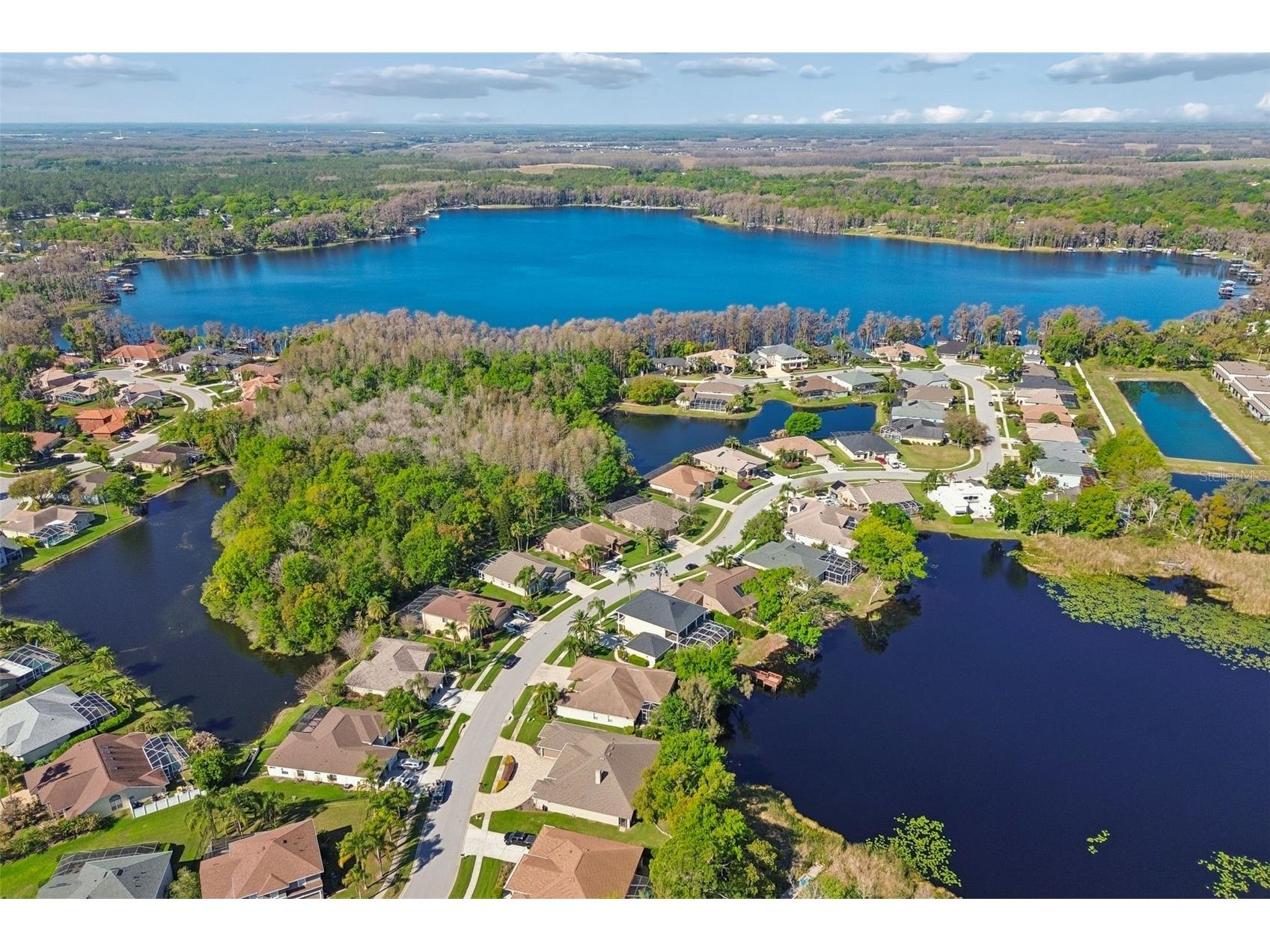 21314 Marsh Hawk Drive Land O Lakes FL 34638 W7884103 image75