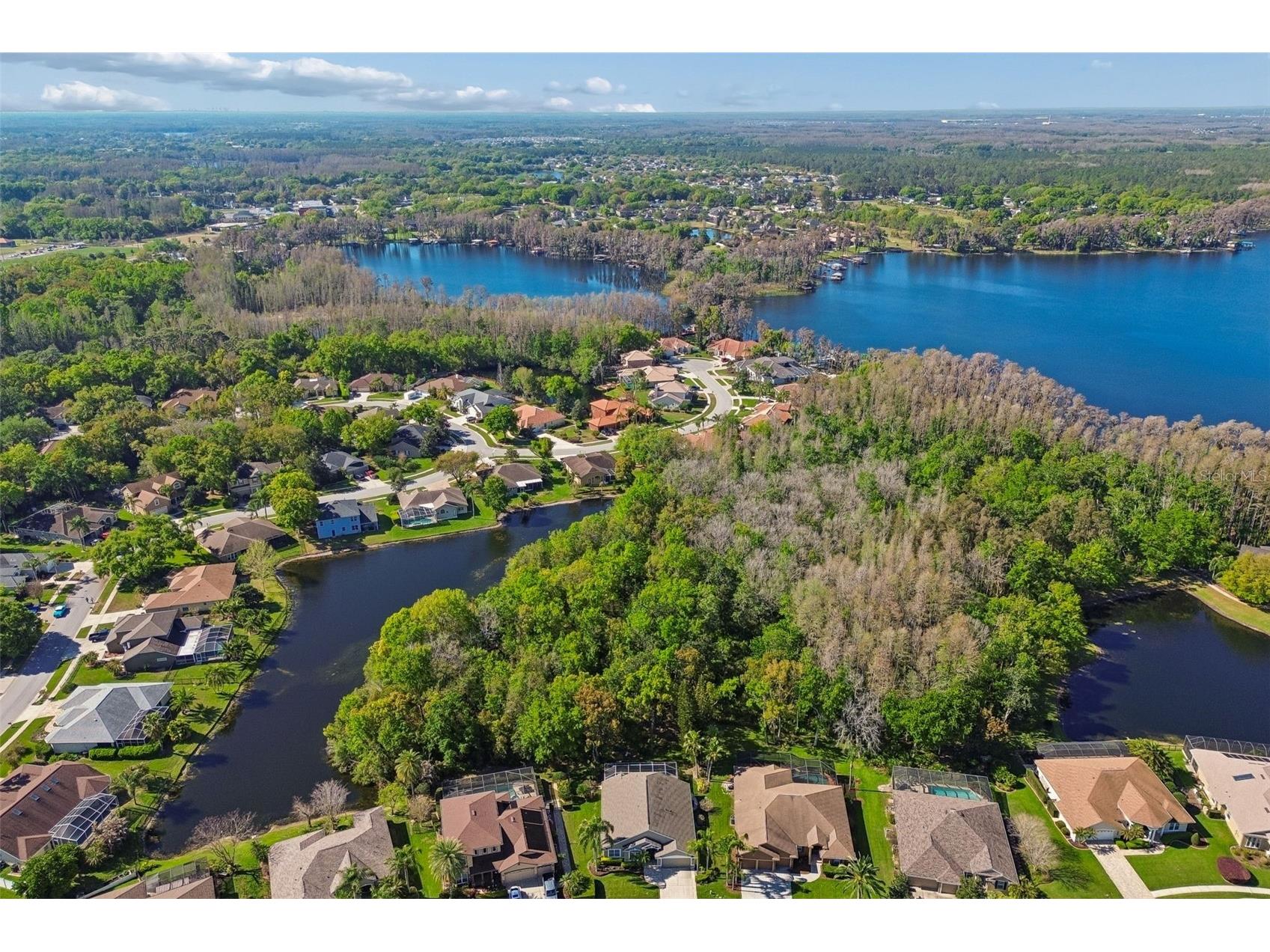 21314 Marsh Hawk Drive Land O Lakes FL 34638 W7884103 image76