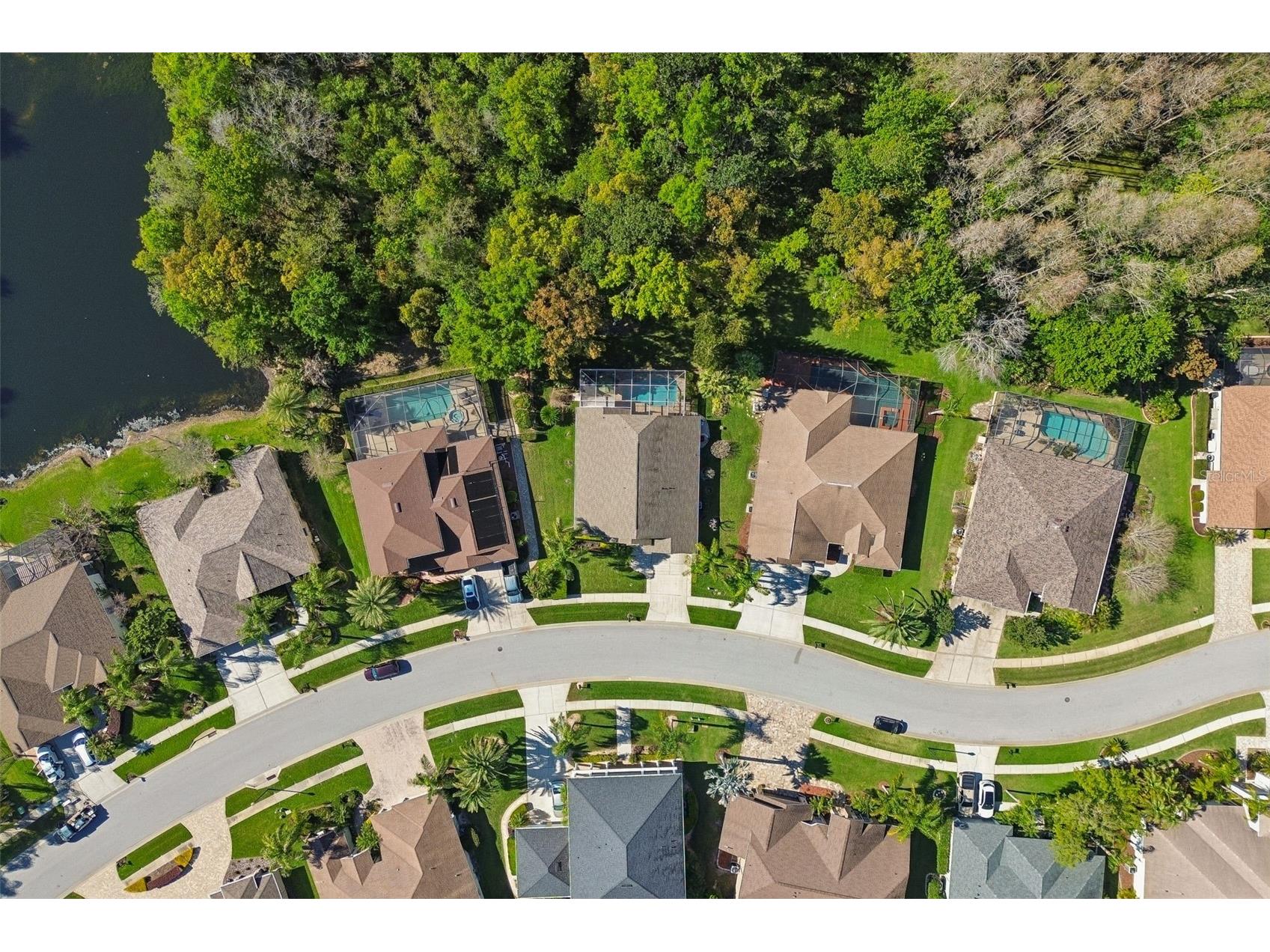 21314 Marsh Hawk Drive Land O Lakes FL 34638 W7884103 image77