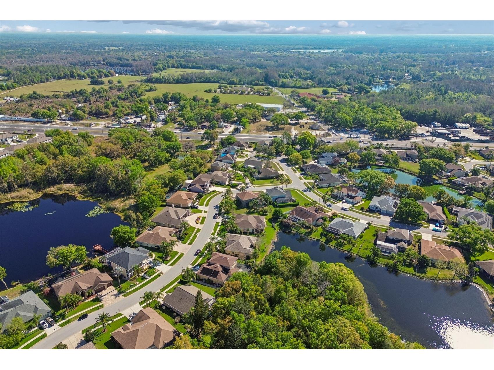 21314 Marsh Hawk Drive Land O Lakes FL 34638 W7884103 image78
