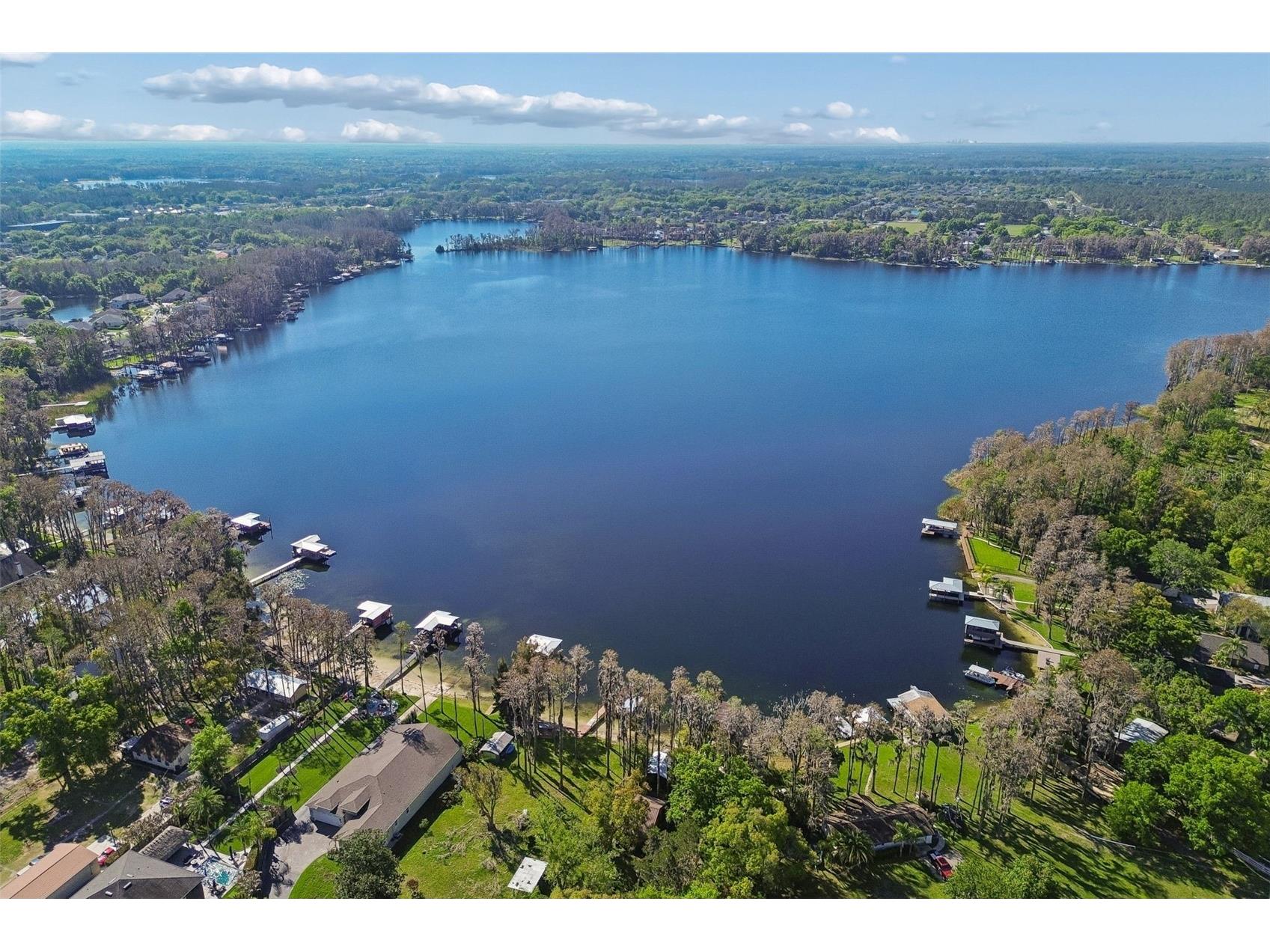 21314 Marsh Hawk Drive Land O Lakes FL 34638 W7884103 image79